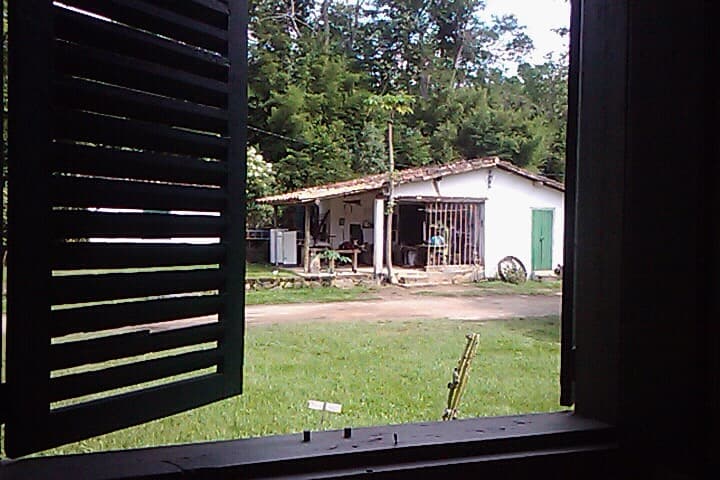 Fazenda dos Coqueiros, Bananal