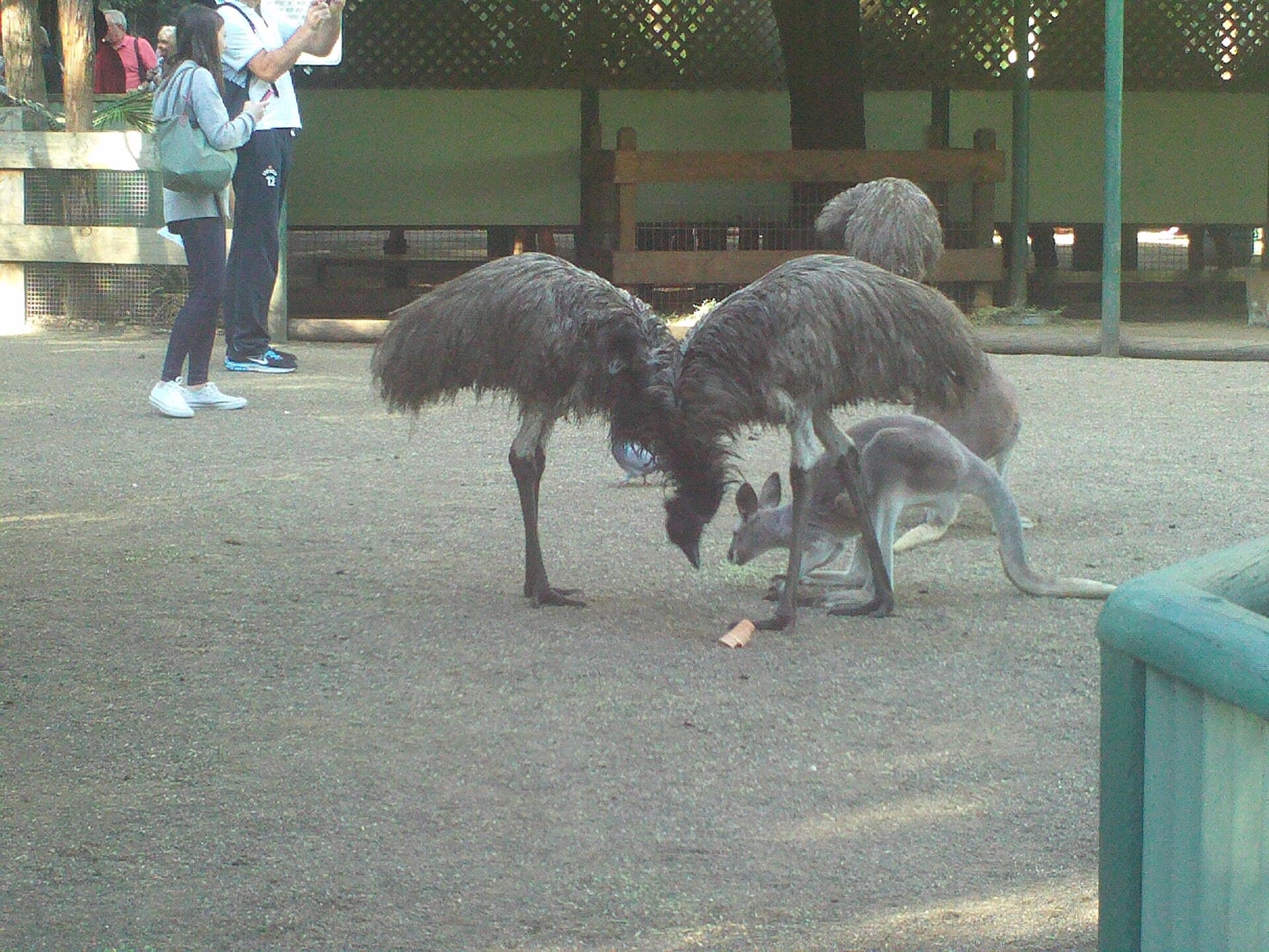 Featherdale Wildlife Park
