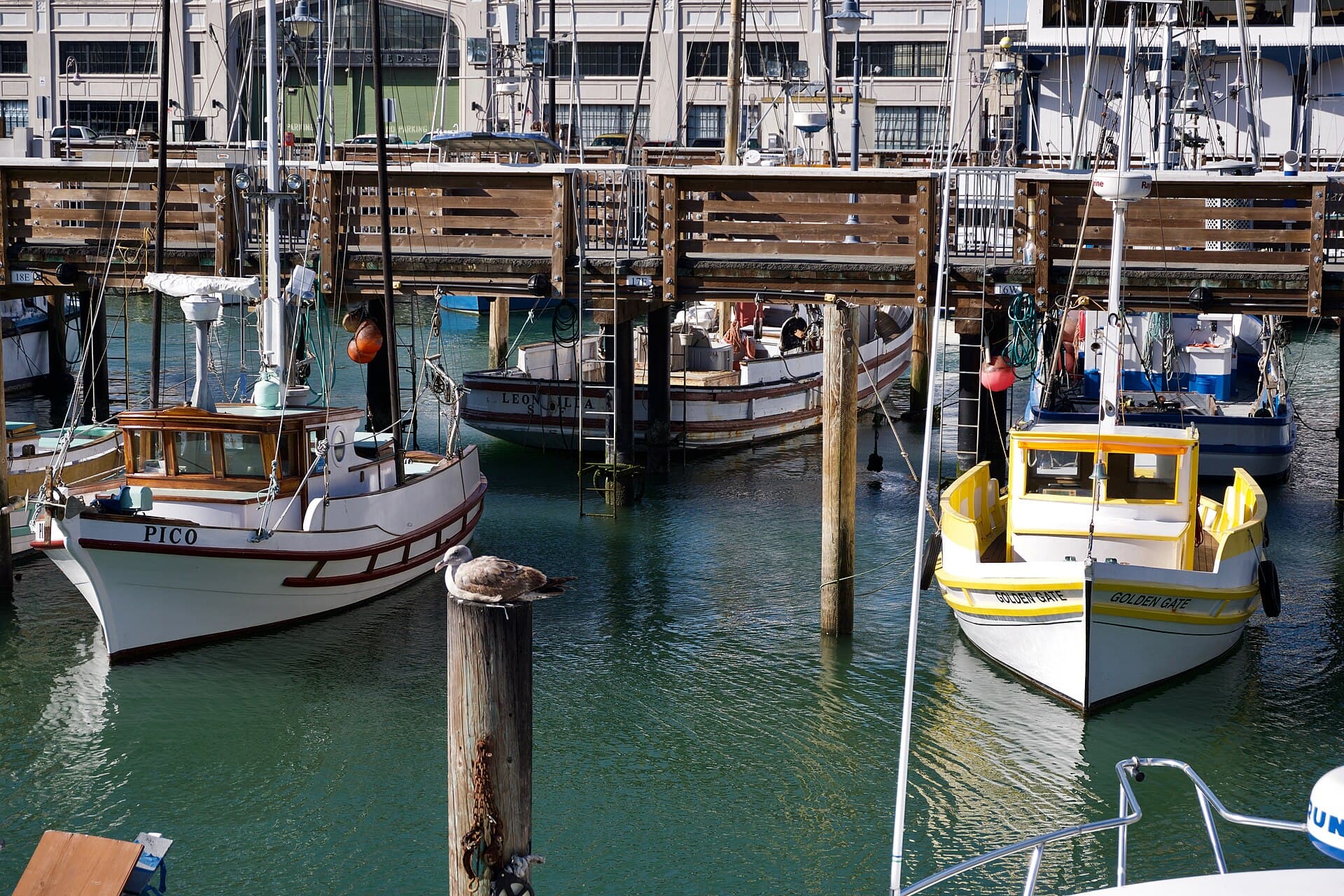 Fisherman's Wharf