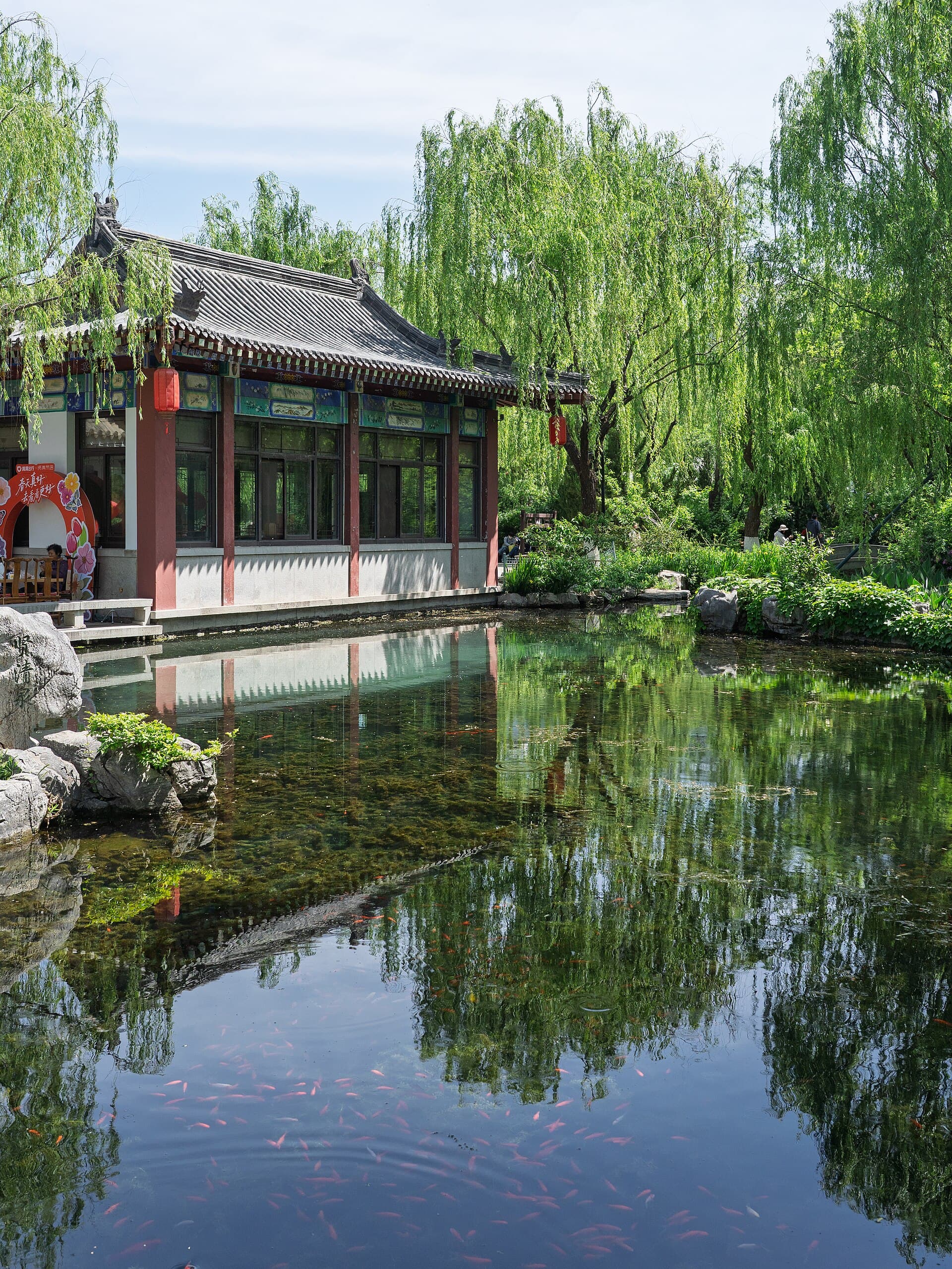 Five Dragon Pool