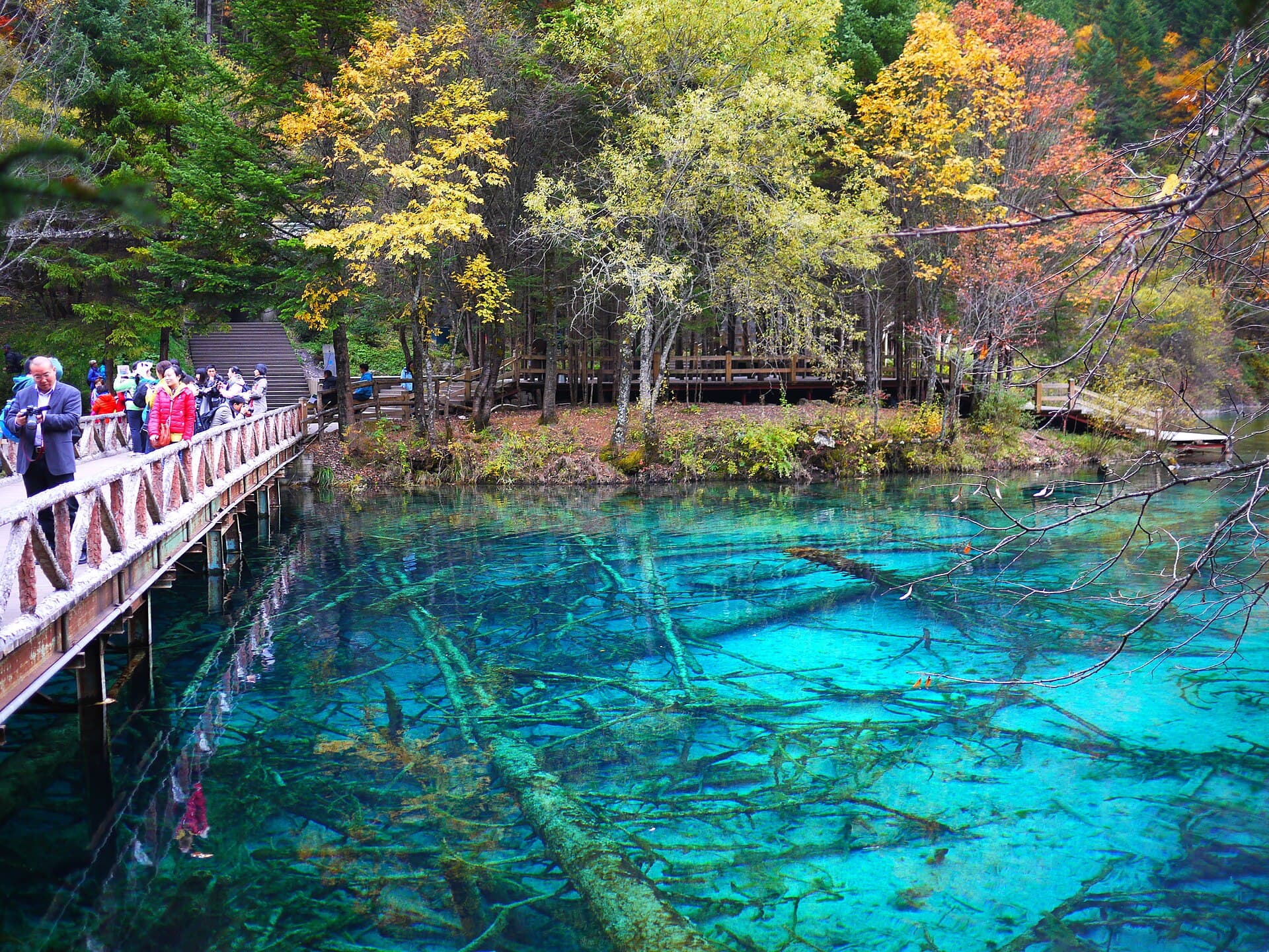 Five Flower Lake