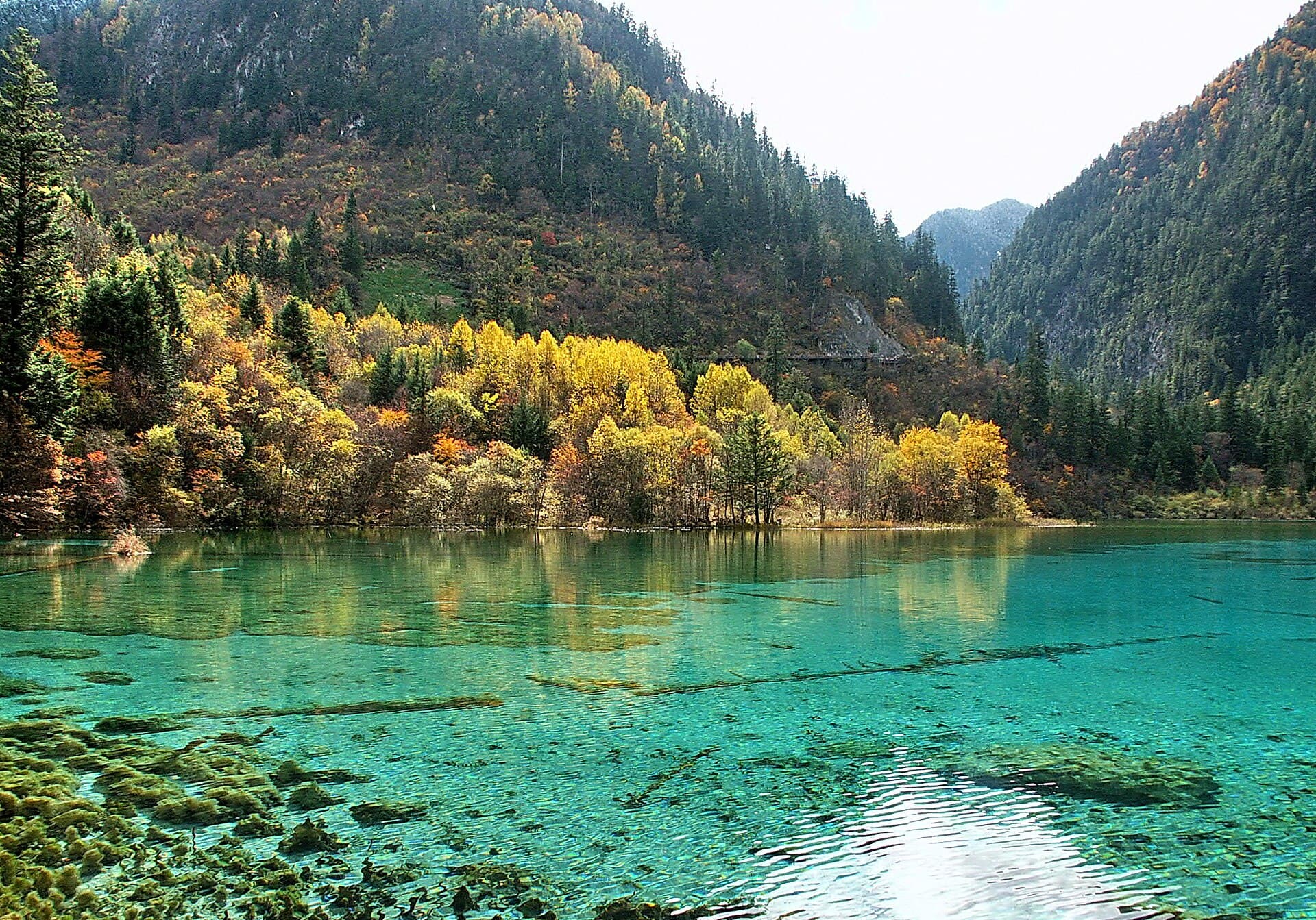 Five Flower Lake