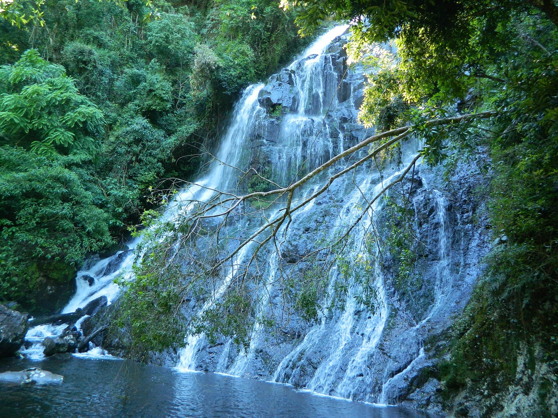 São Francisco de Paula National Forest, São Francisco de Paula
