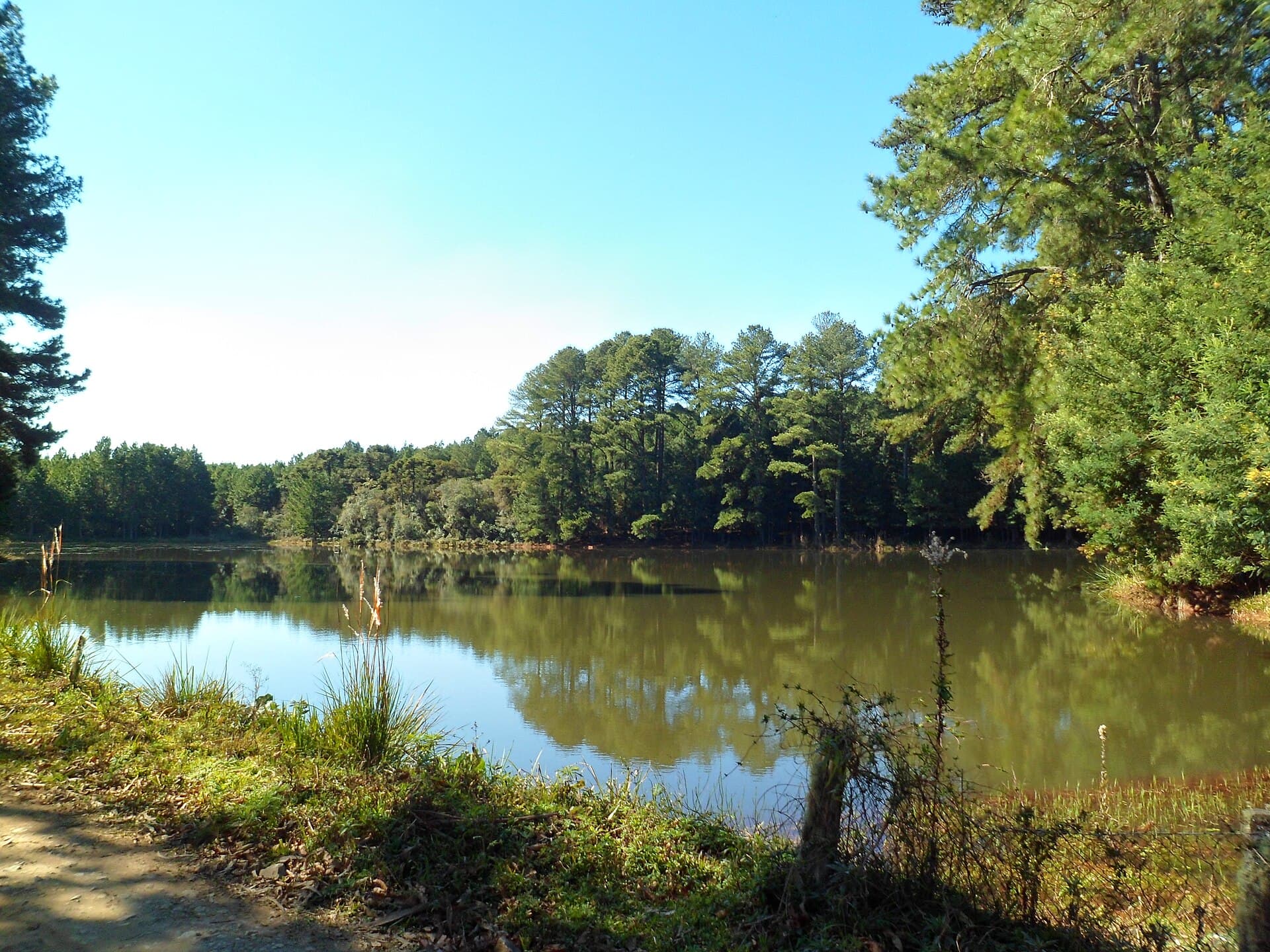 São Francisco de Paula National Forest, São Francisco de Paula