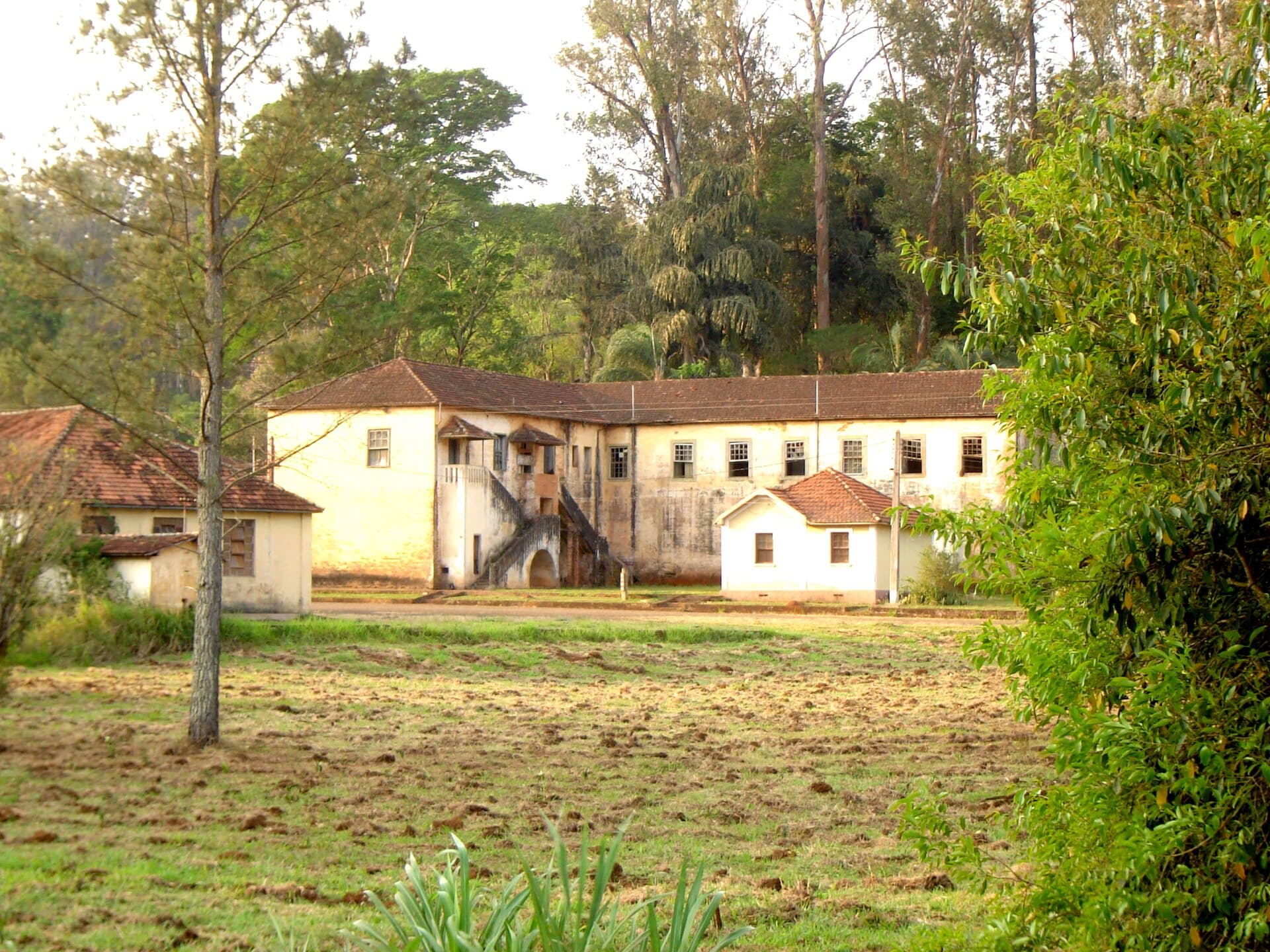 Edmundo Navarro de Andrade State Forest, Rio Claro