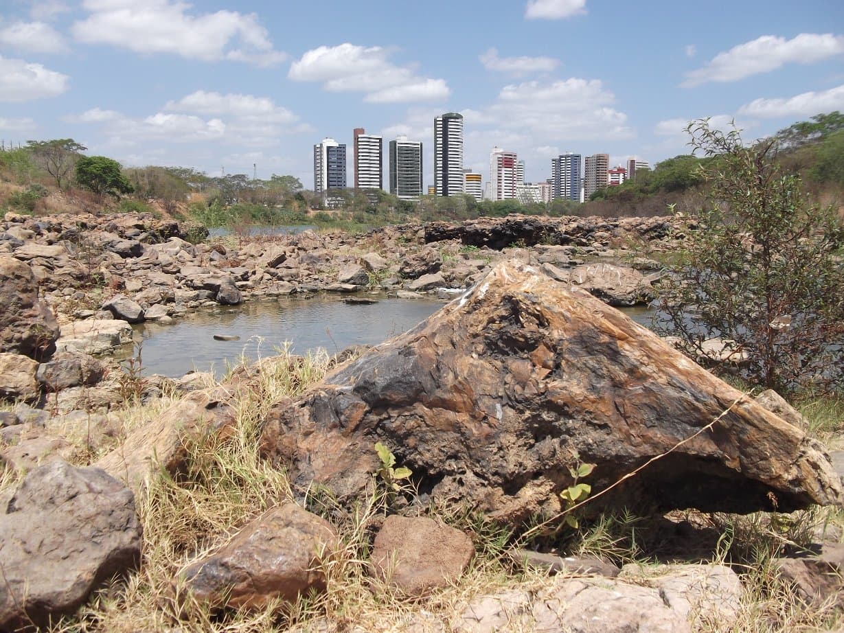 Teresina Fossil Forest, Teresina