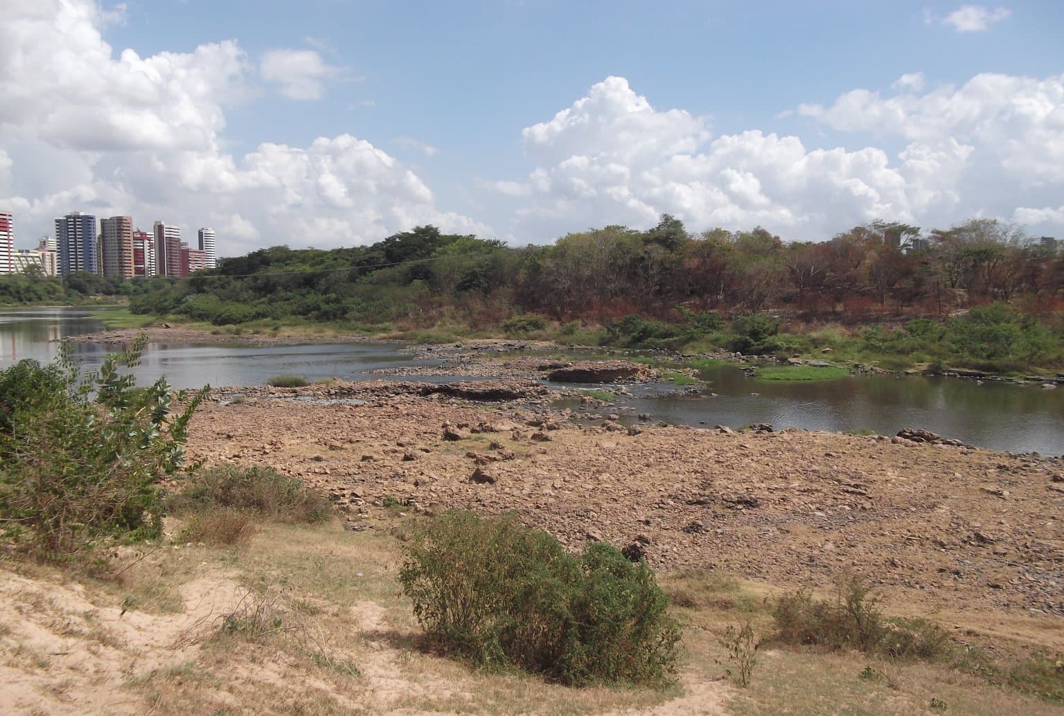 Teresina Fossil Forest, Teresina