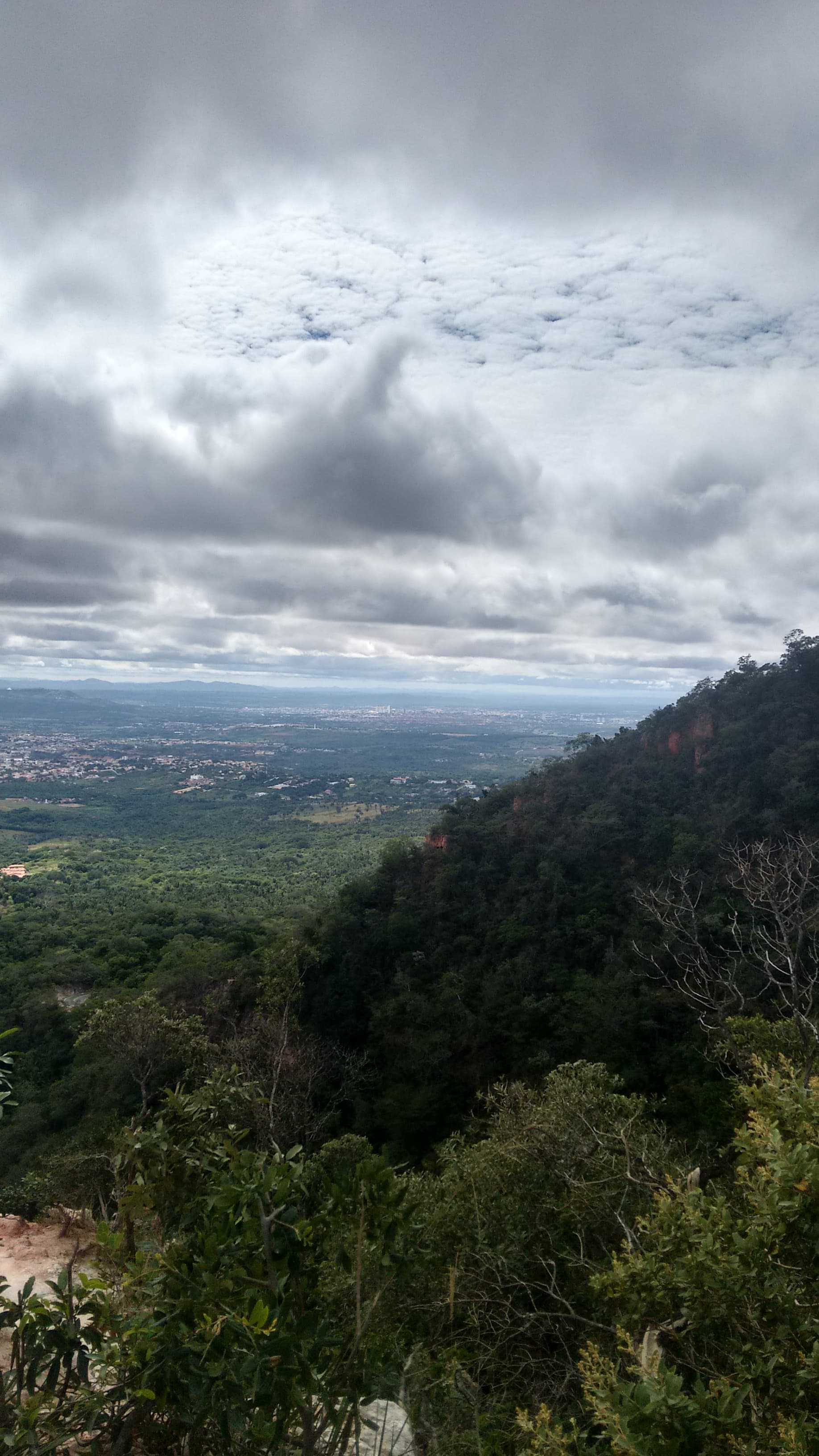 Araripe National Forest, Crato