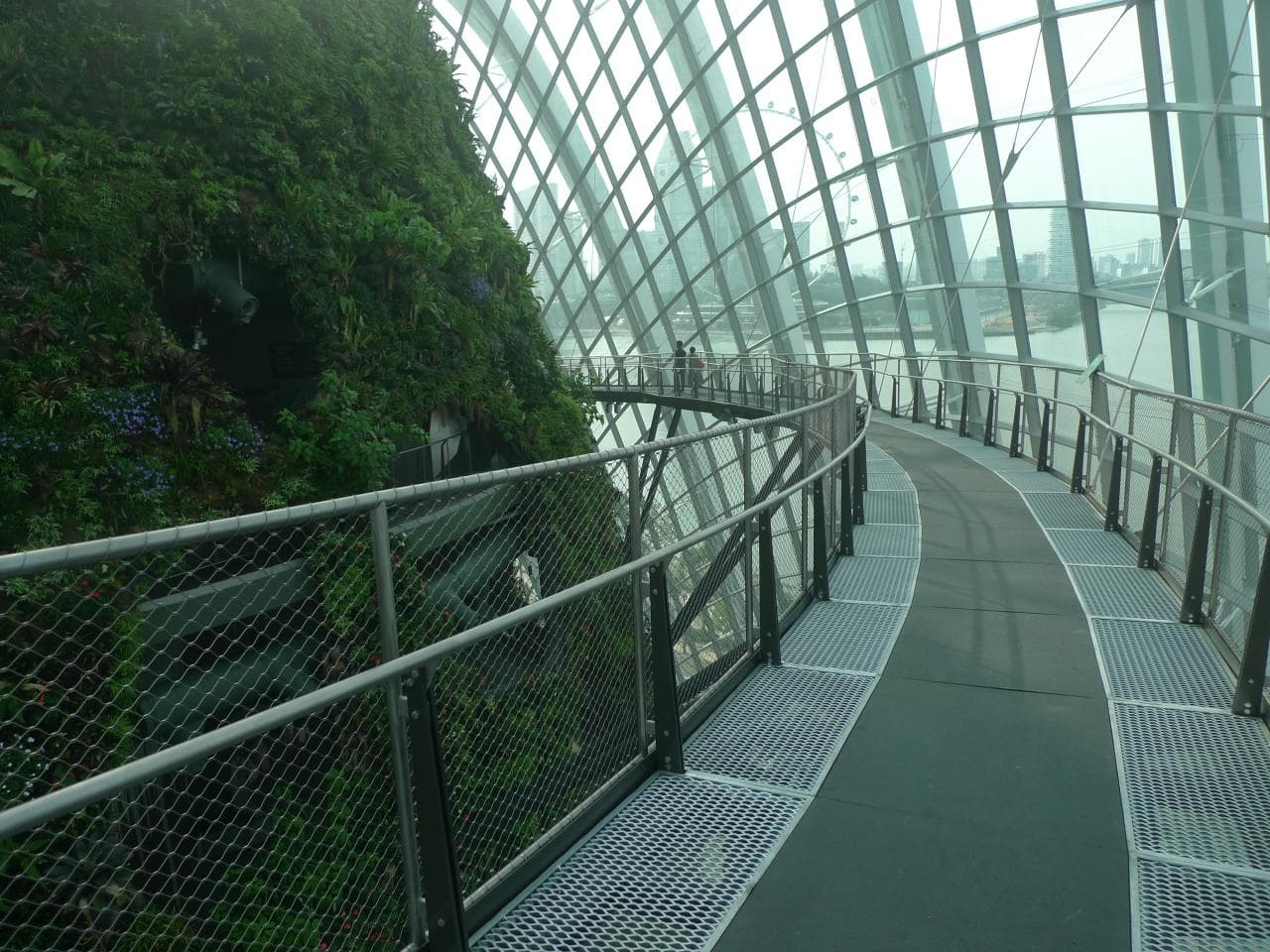 Flower Dome and Cloud Forest
