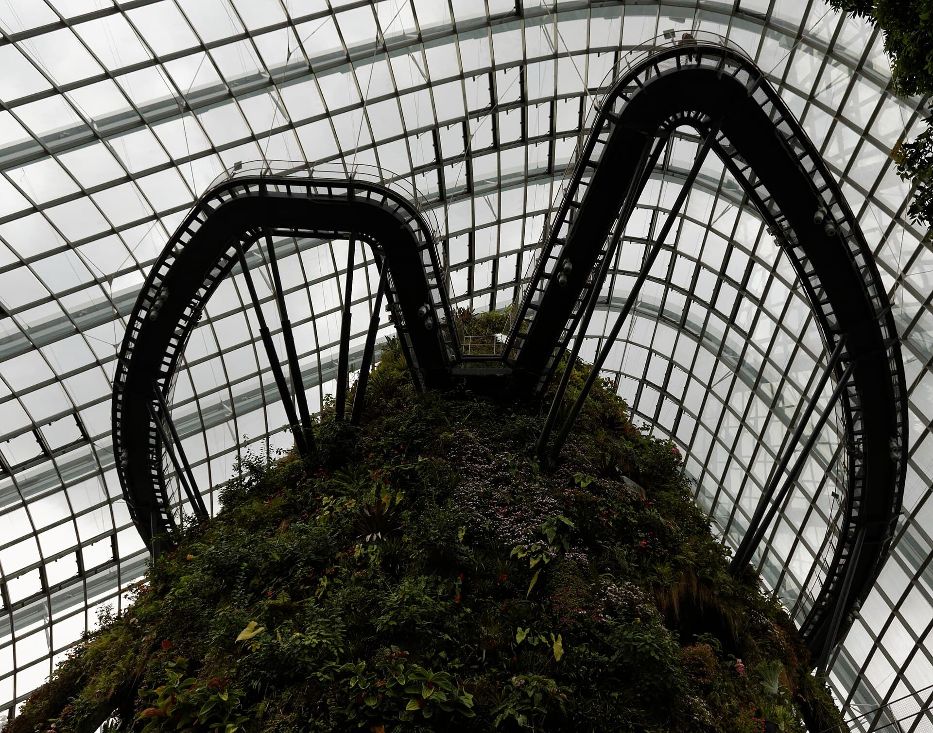 Flower Dome and Cloud Forest