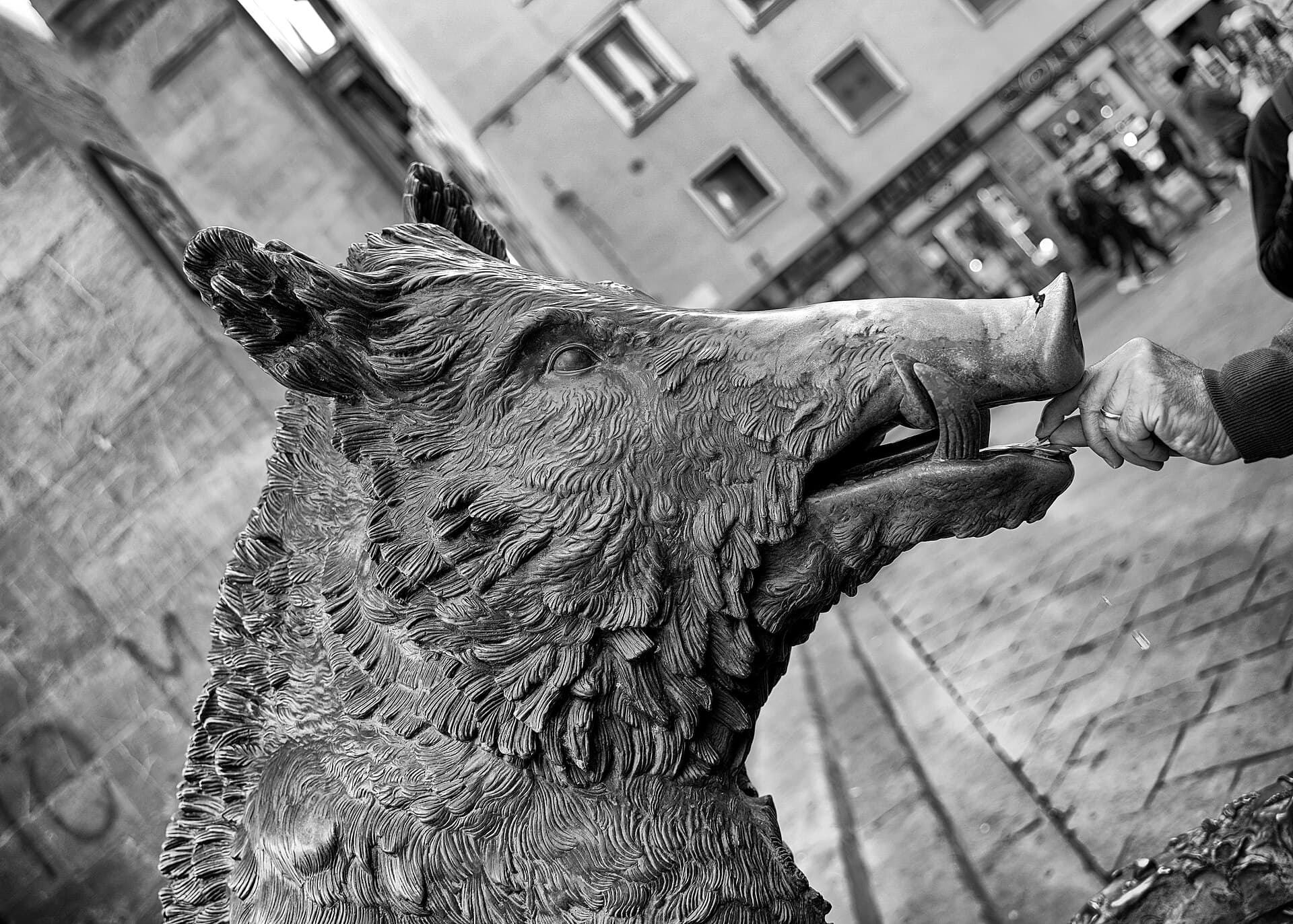 The Fountain of the Little Pig, Florence