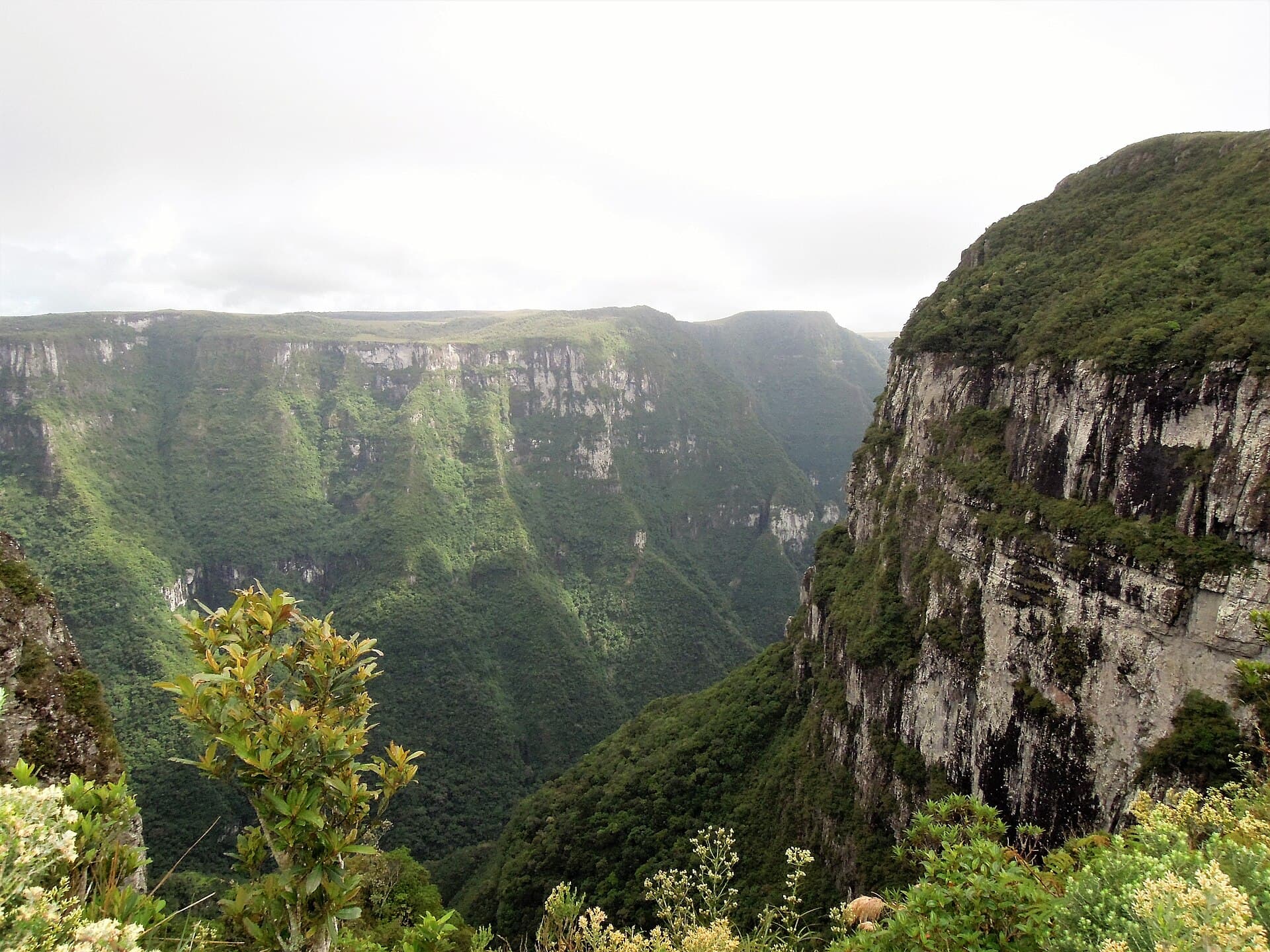 Fortaleza Canyon, Cambará do Sul