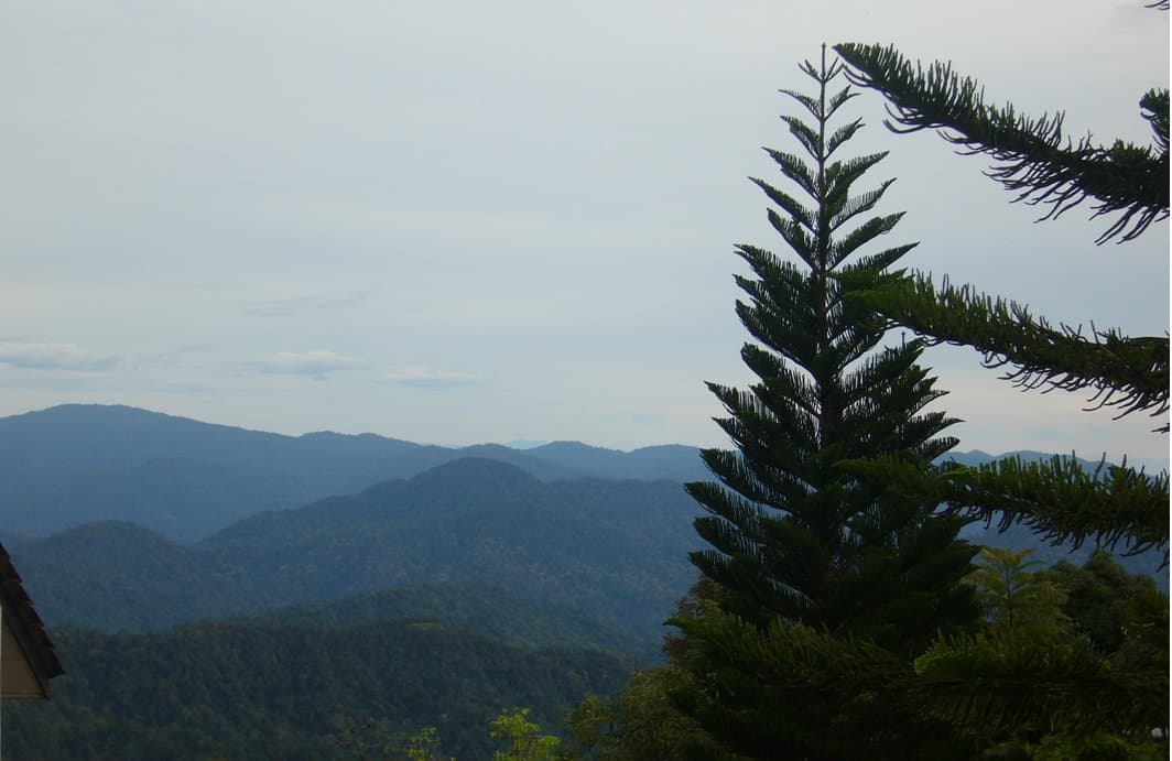 Fraser's Hill