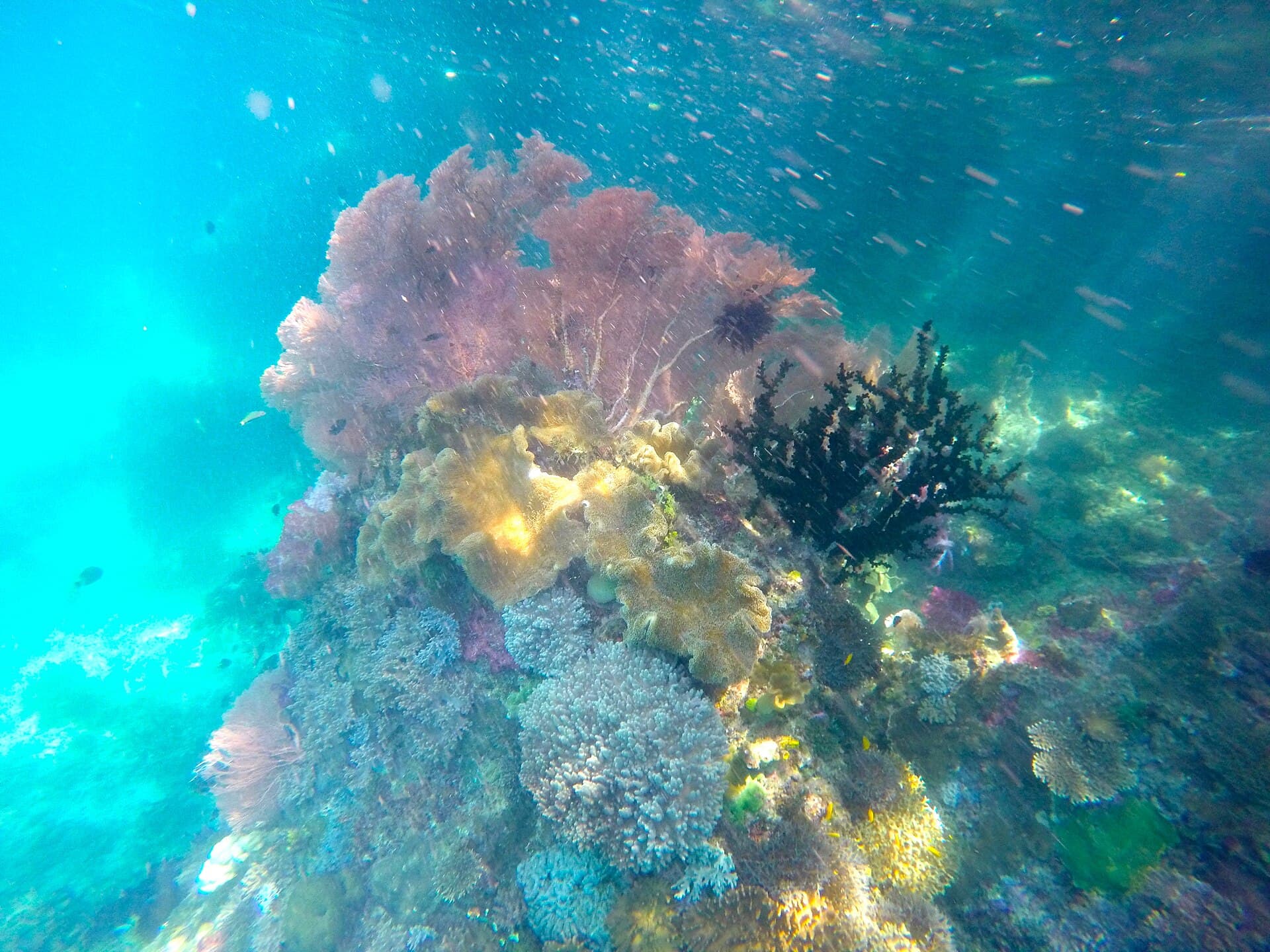 Friwen Island