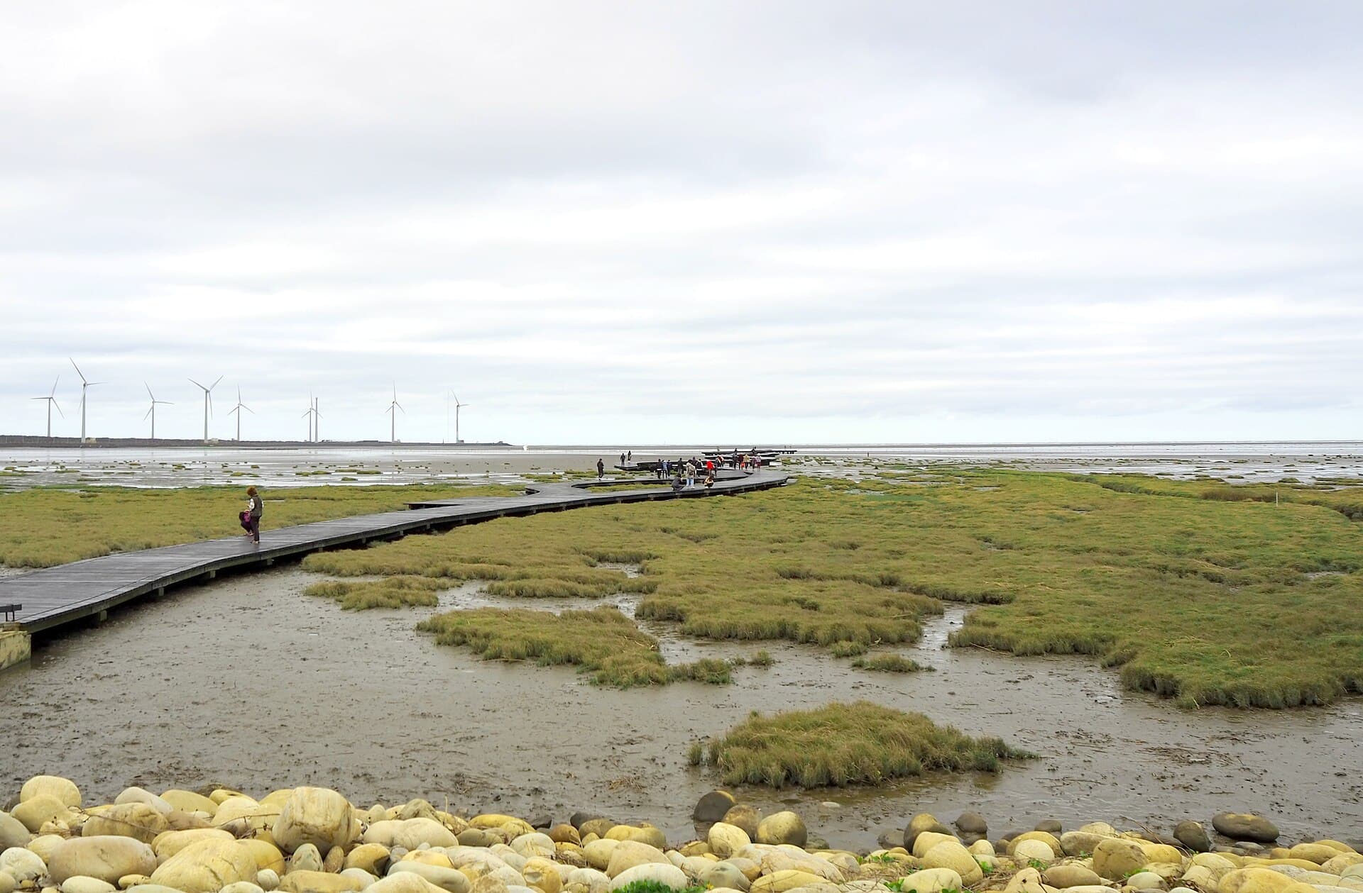 Gaomei Wetlands