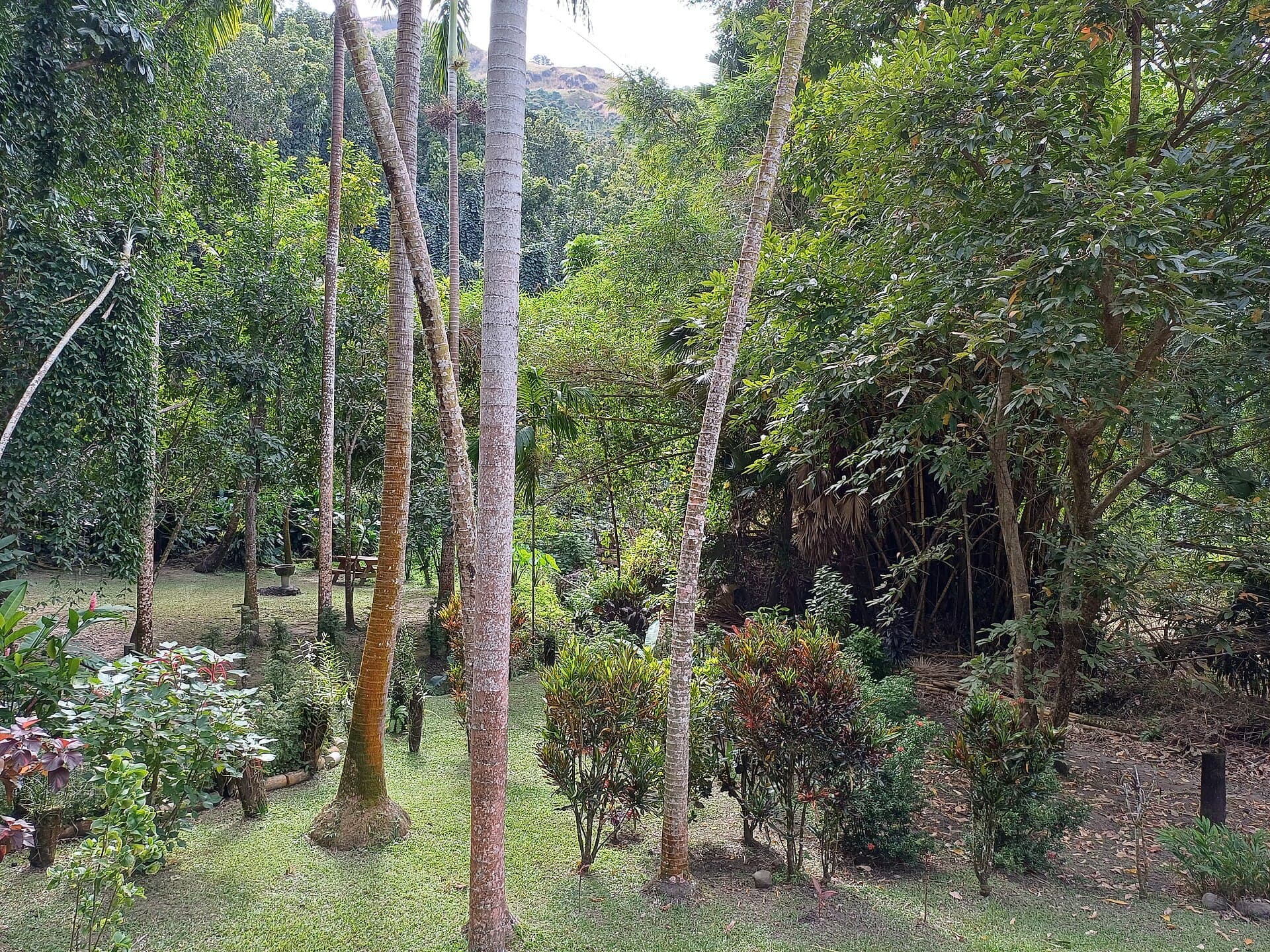 Garden of the Sleeping Giant