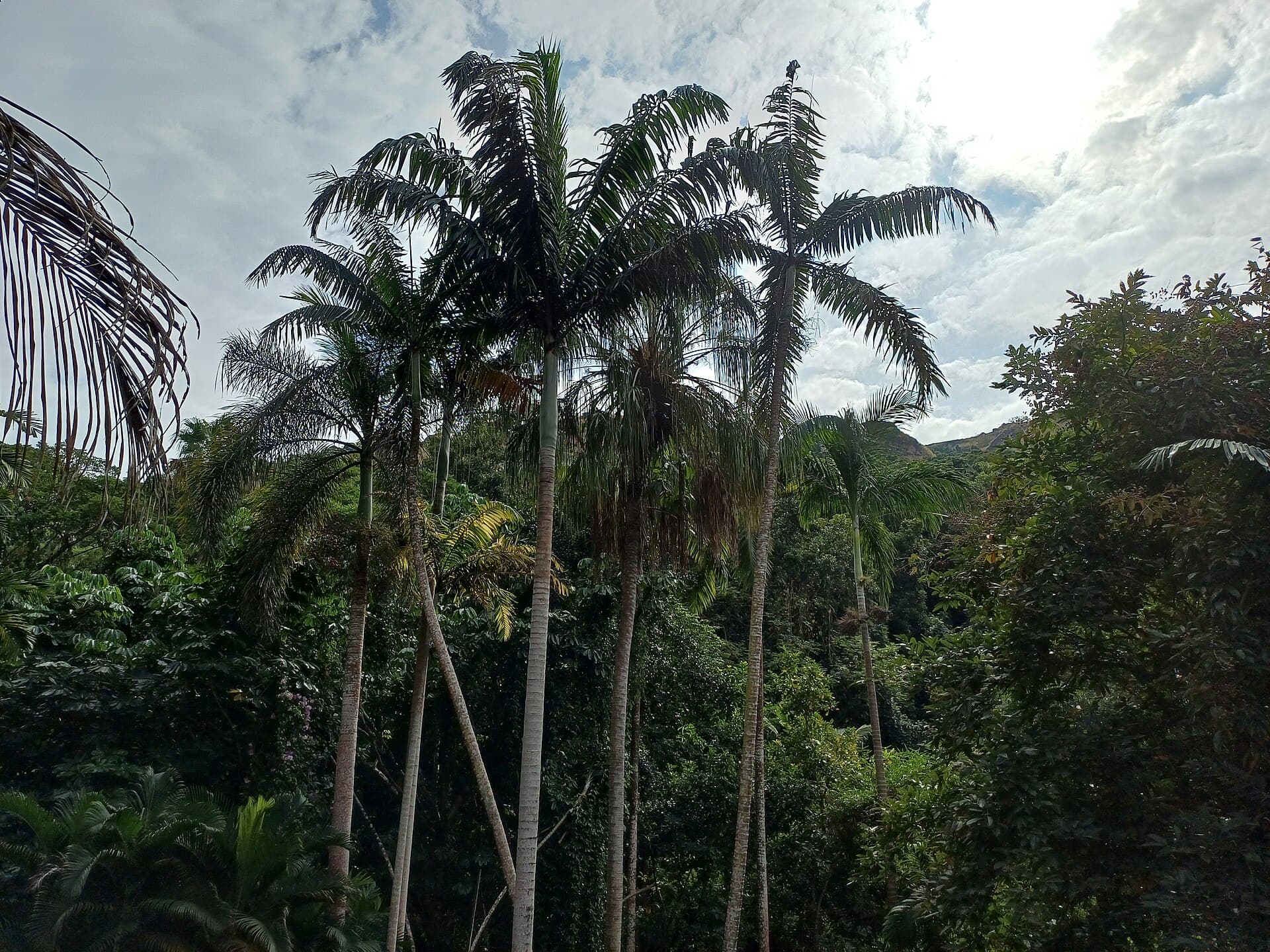 Garden of the Sleeping Giant