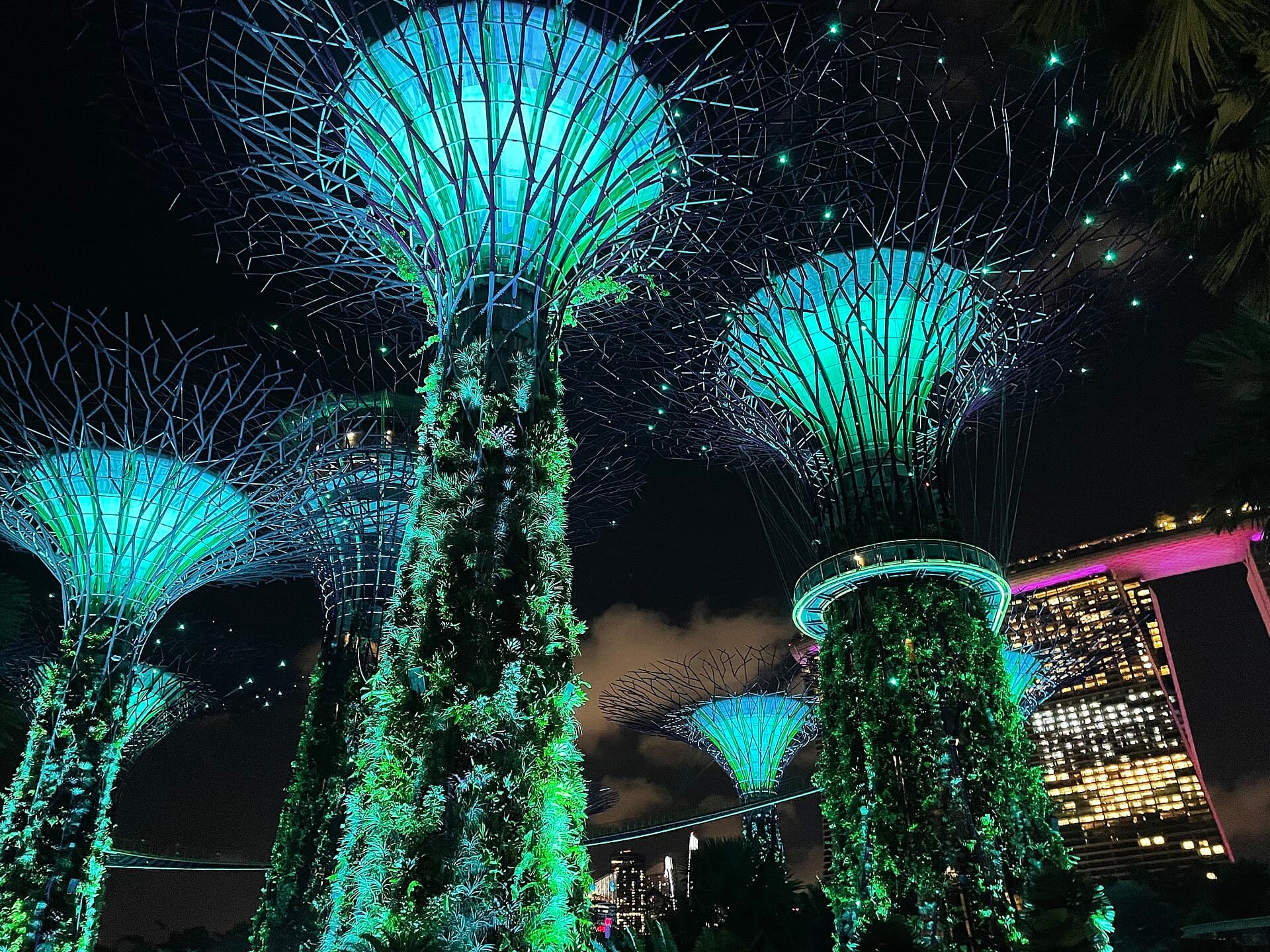 Gardens by the Bay