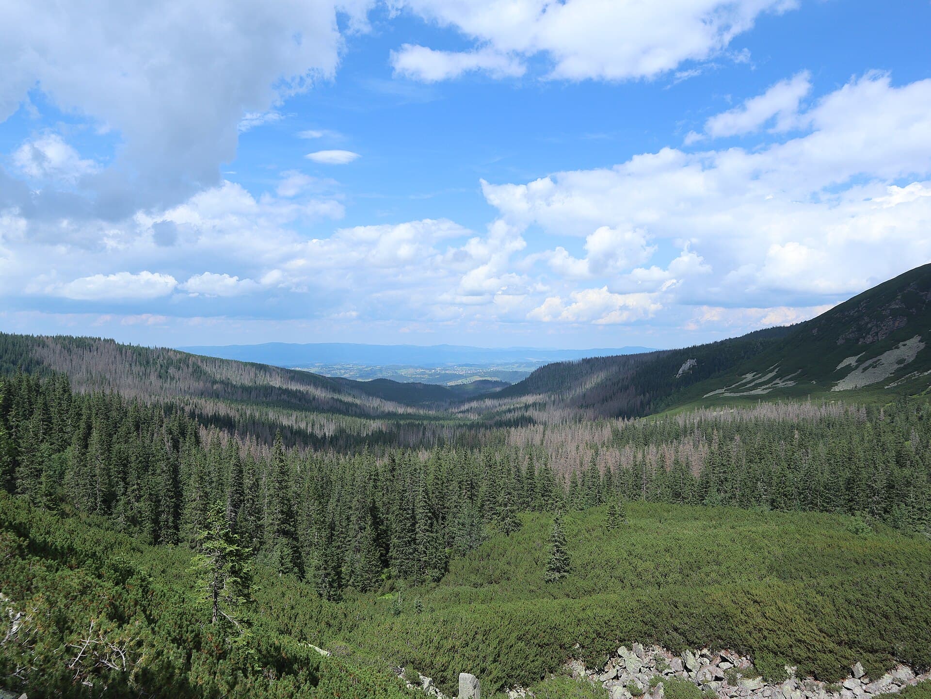 Gąsienicowa Valley, Zakopane
