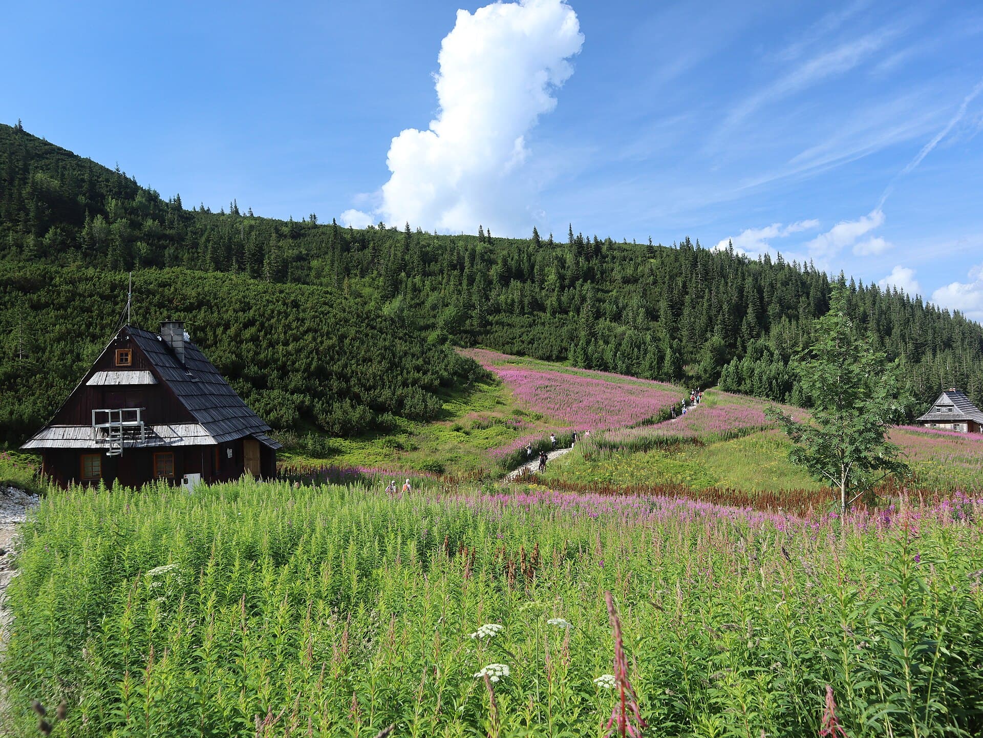 Gąsienicowa Valley, Zakopane