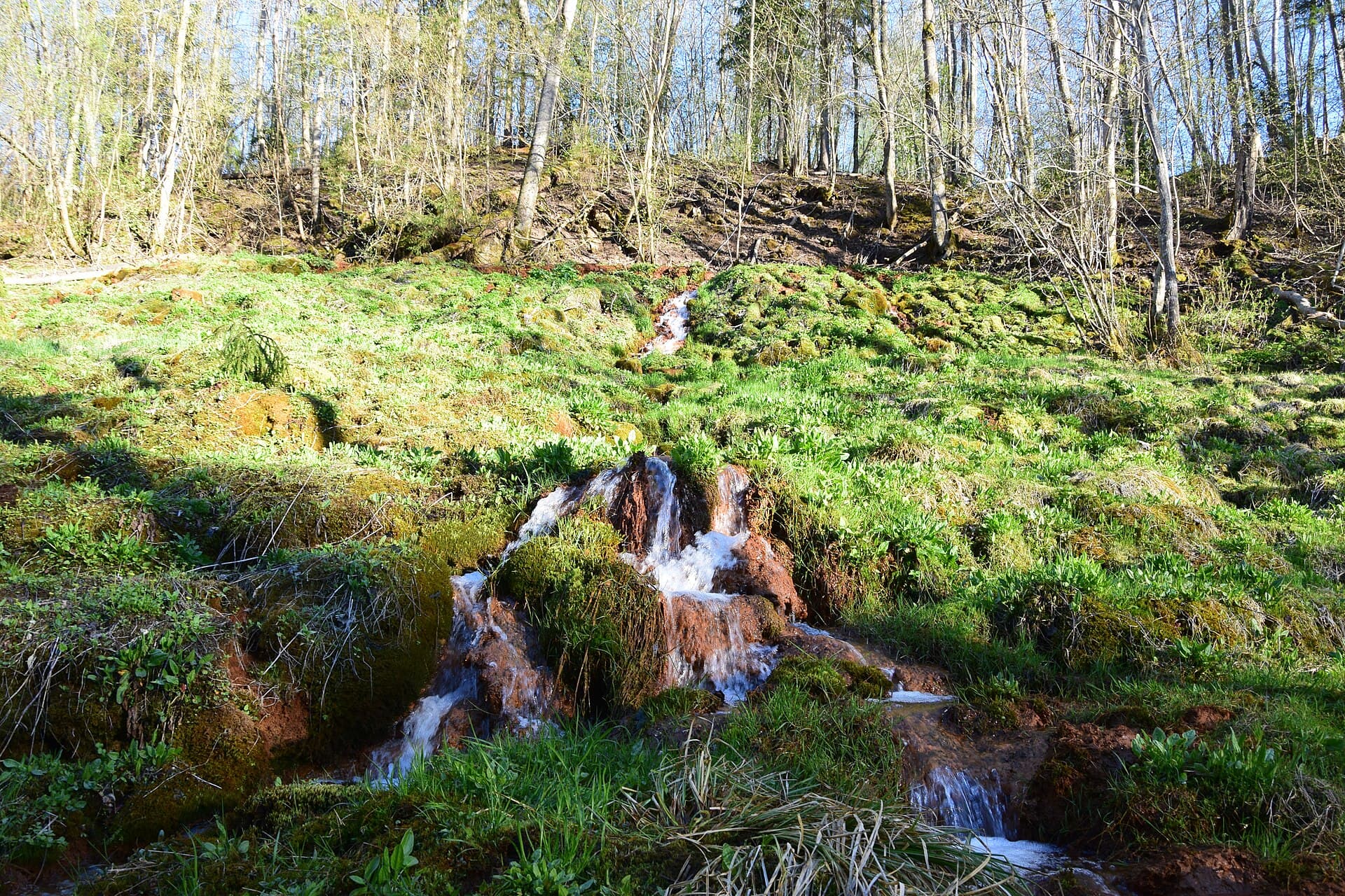 Gauja National Park and Sigulda, Riga