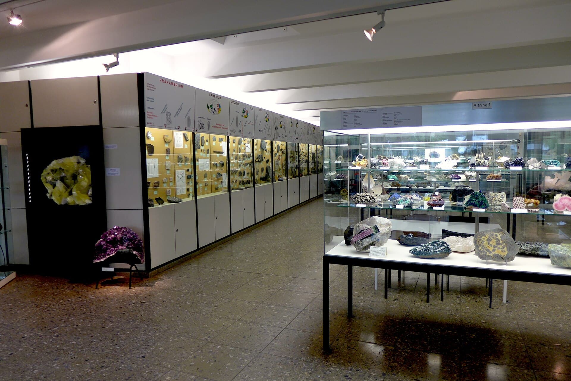 The University Geological Museum, Cologne
