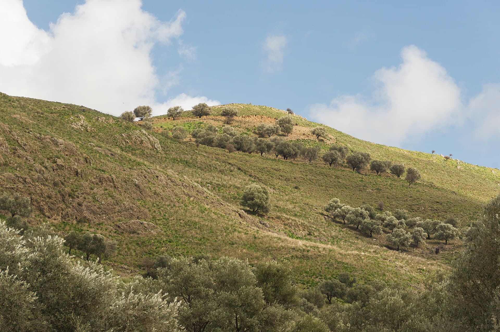 Ancient Gortyn, Heraklion