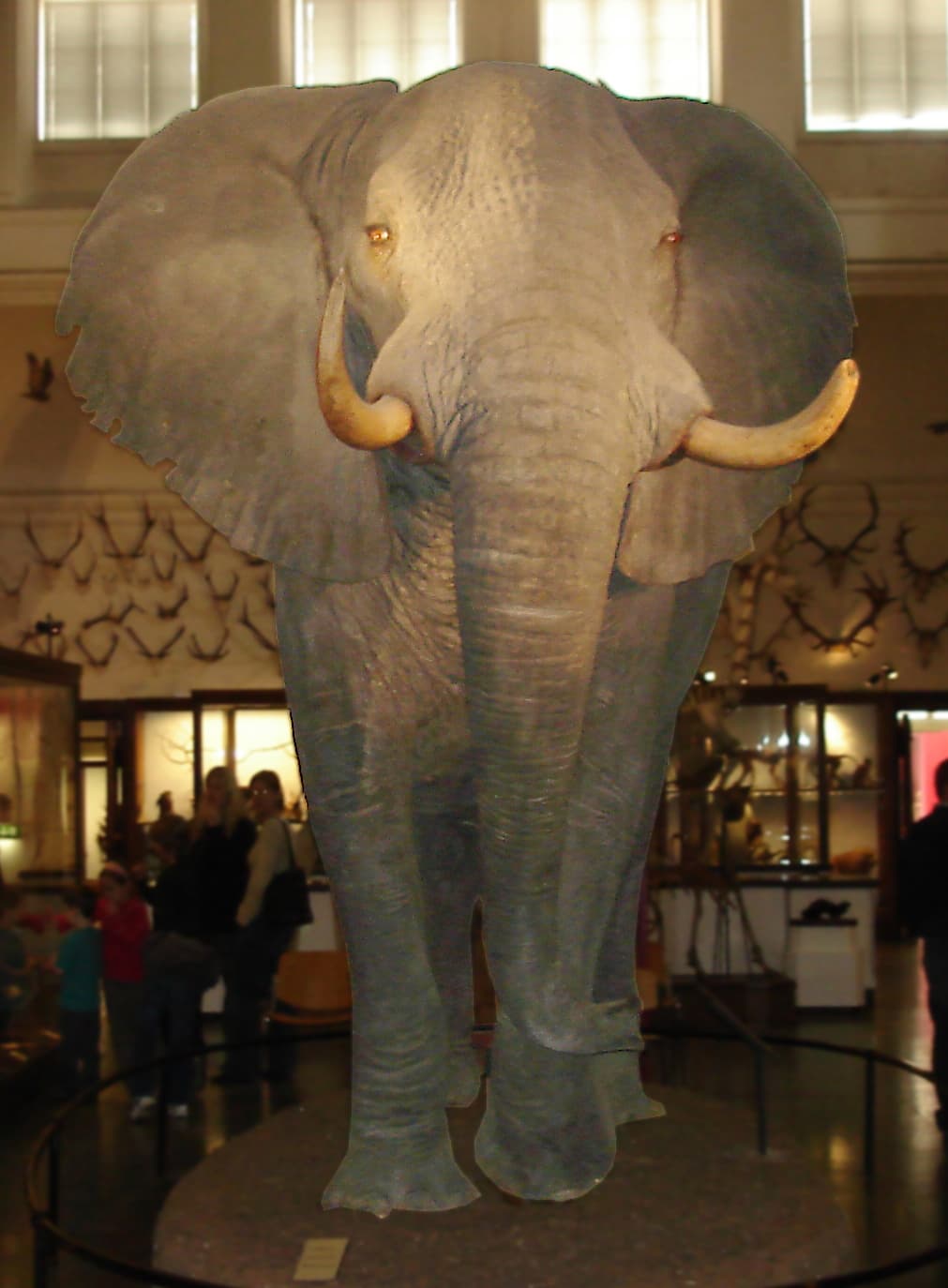 The Gothenburg Museum of Natural History, Gothenburg