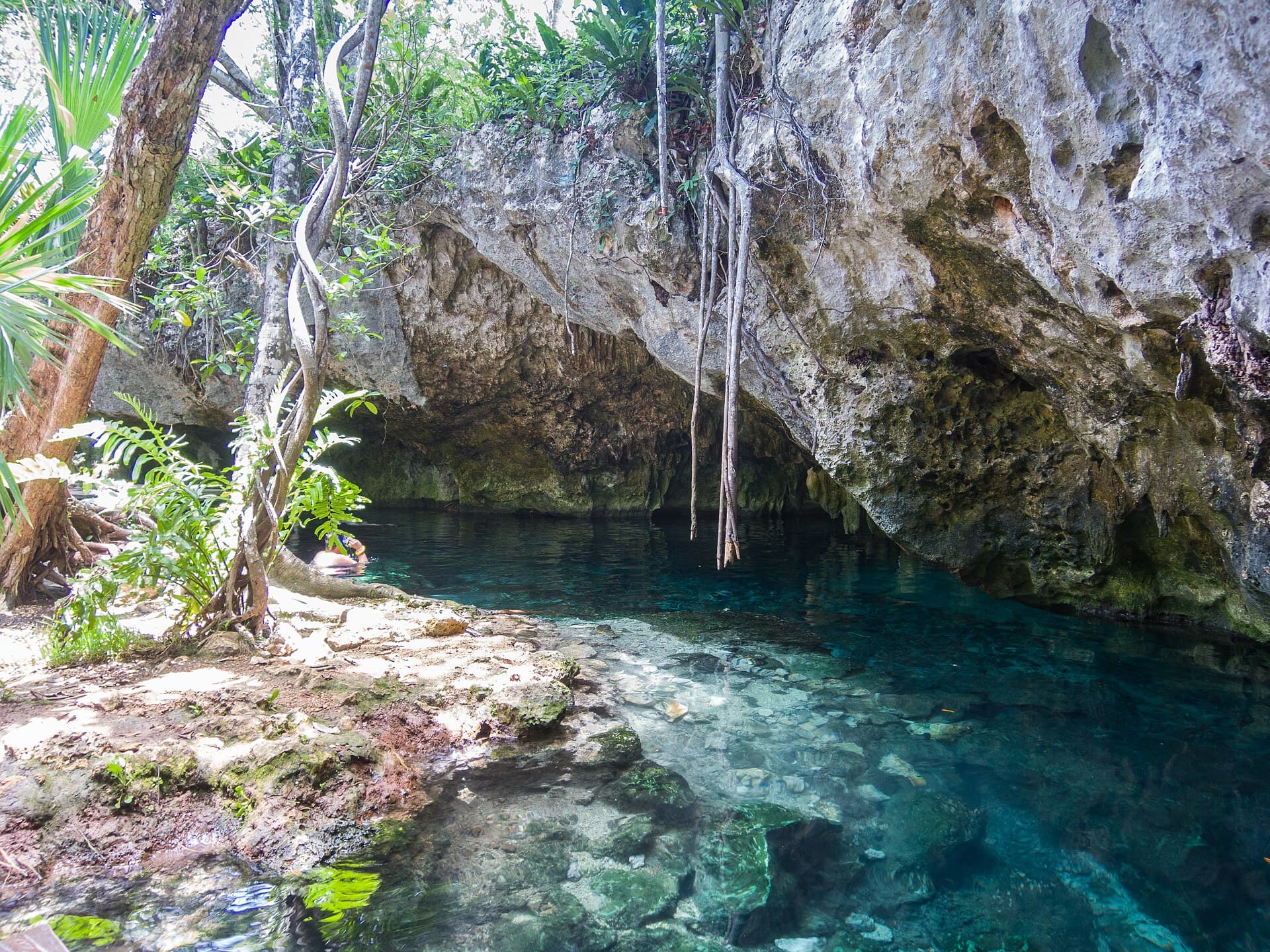 Gran Cenote