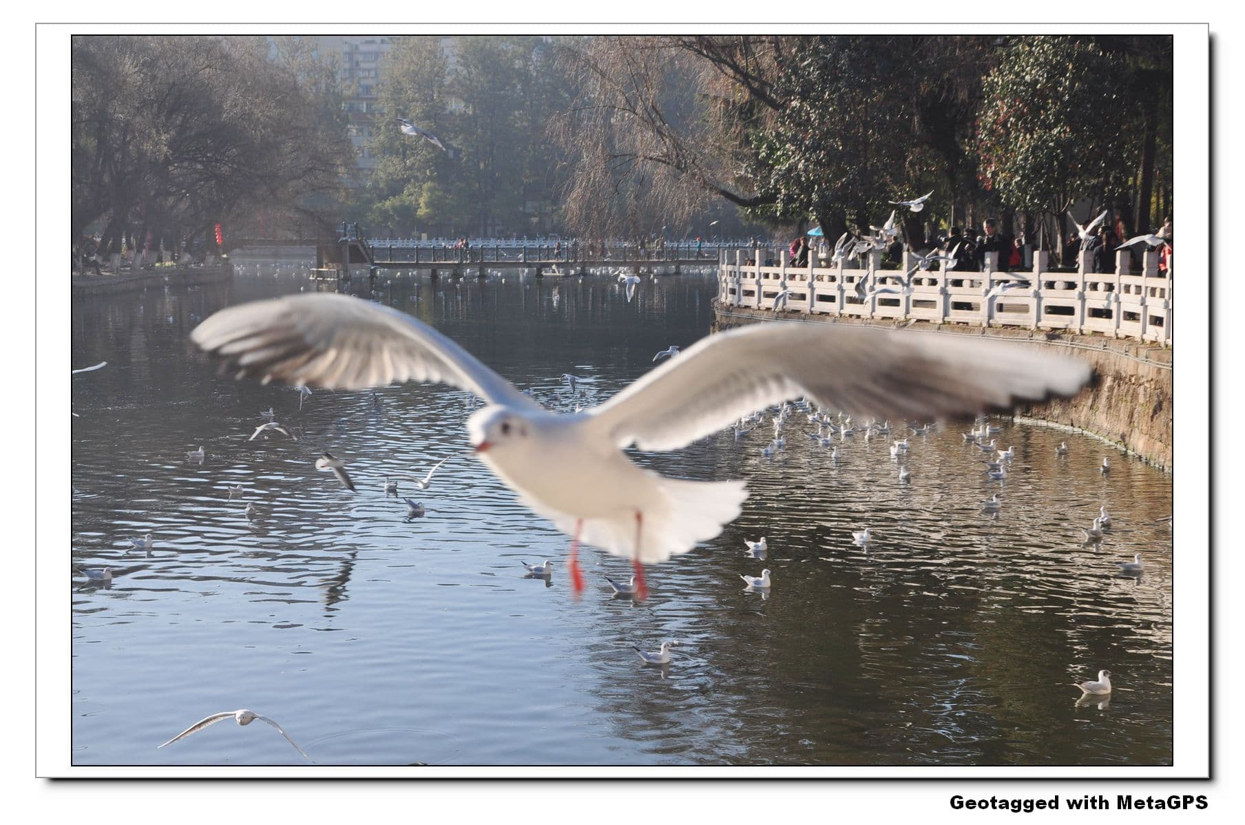 Green Lake Park (Cuihu)
