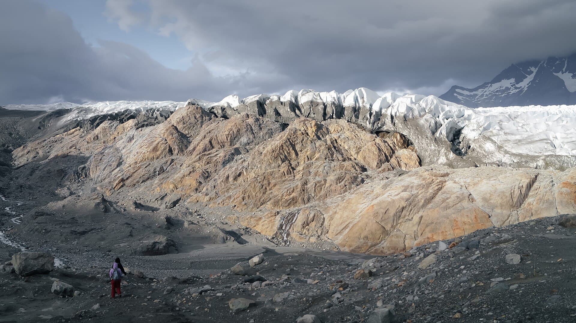 Grey Glacier