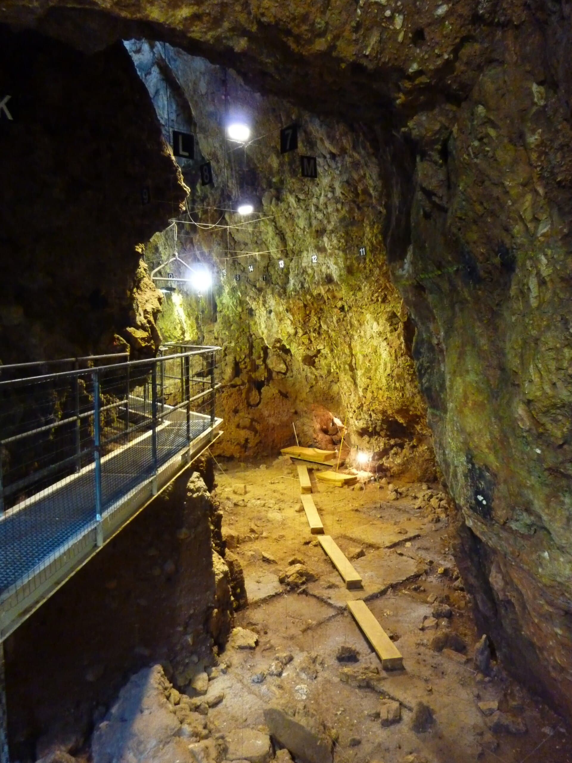 Lazaret Cave, Nice
