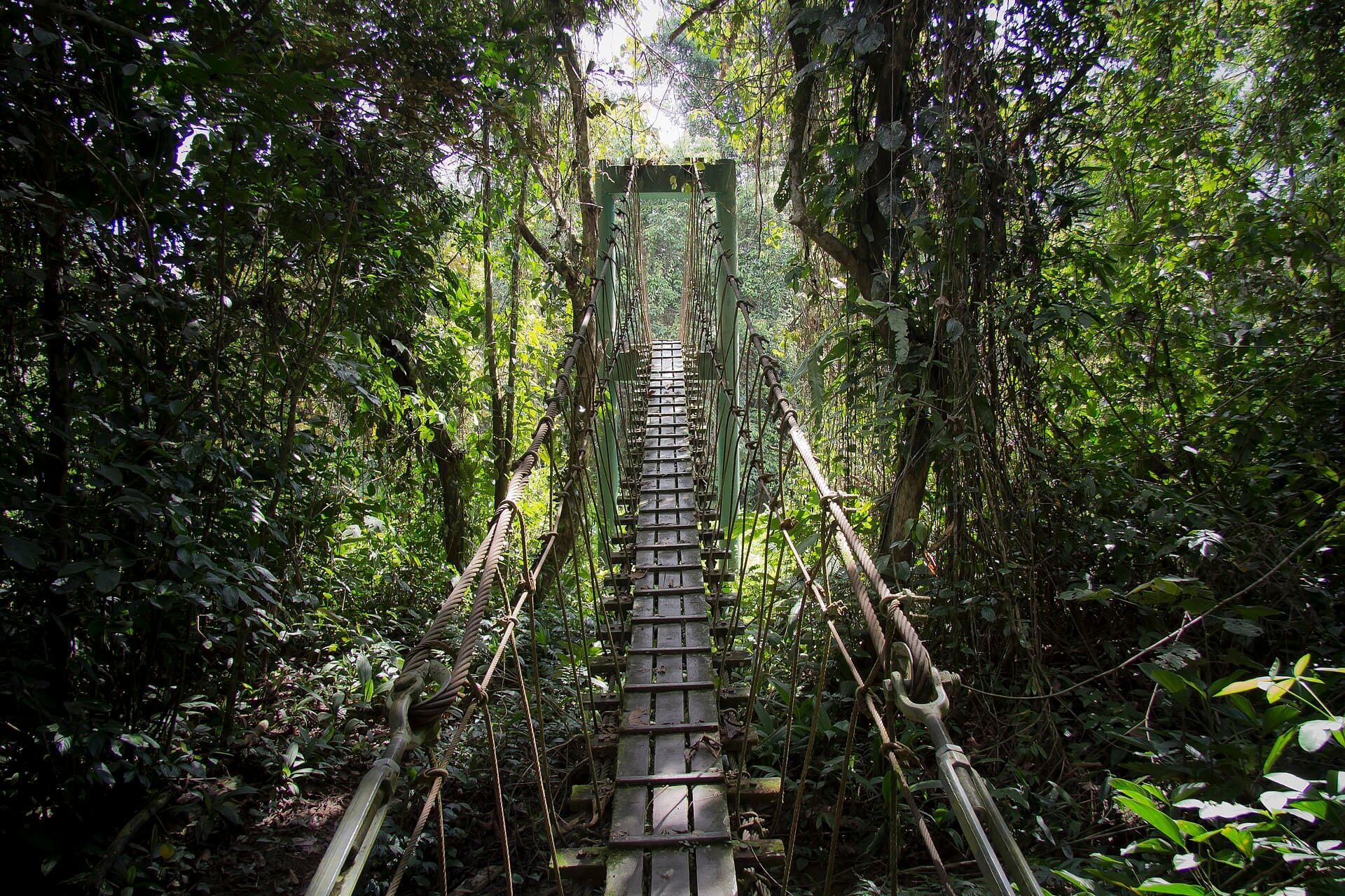 Gunung Mulu National Park