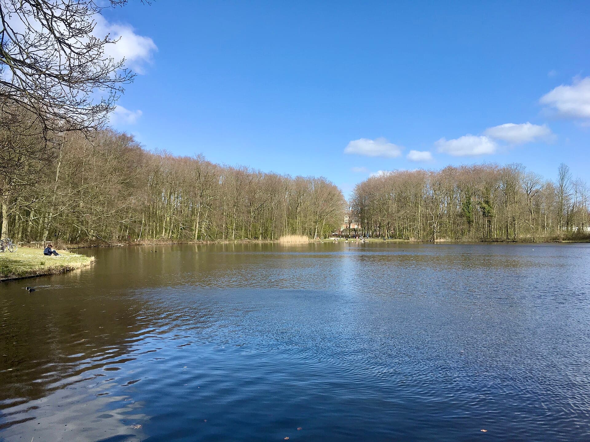The Haagse Bos, The Hague