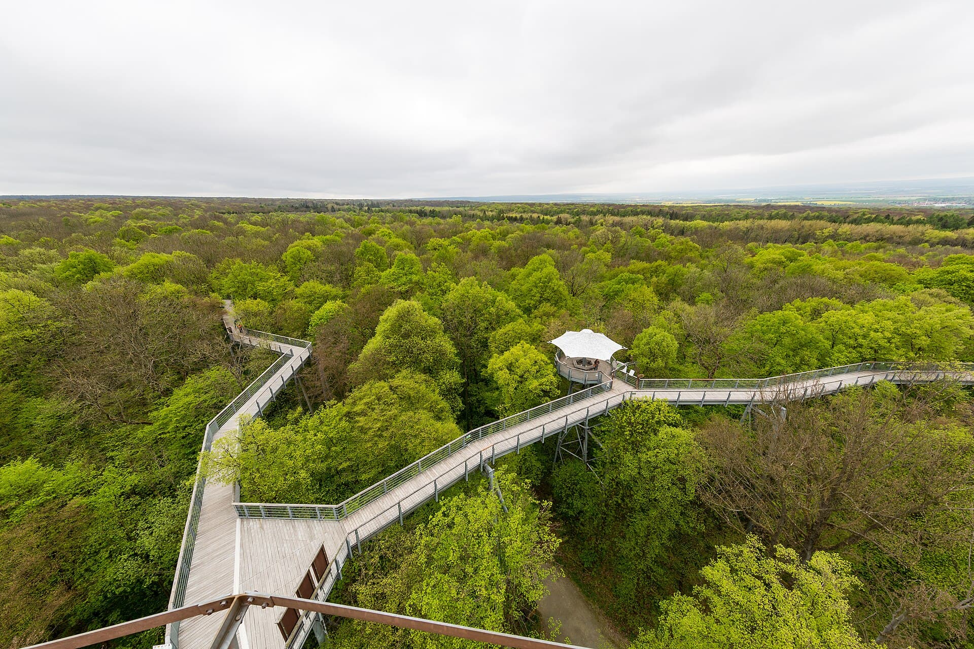Hainich National Park, Bad Langensalza