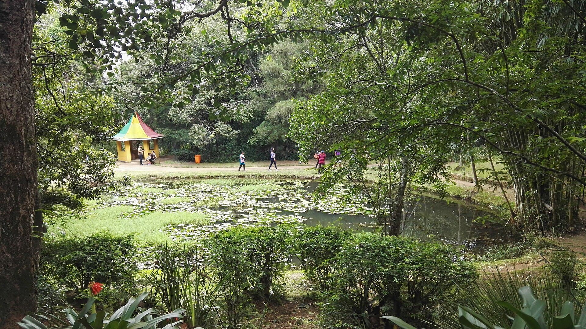Hakgala Botanical Garden