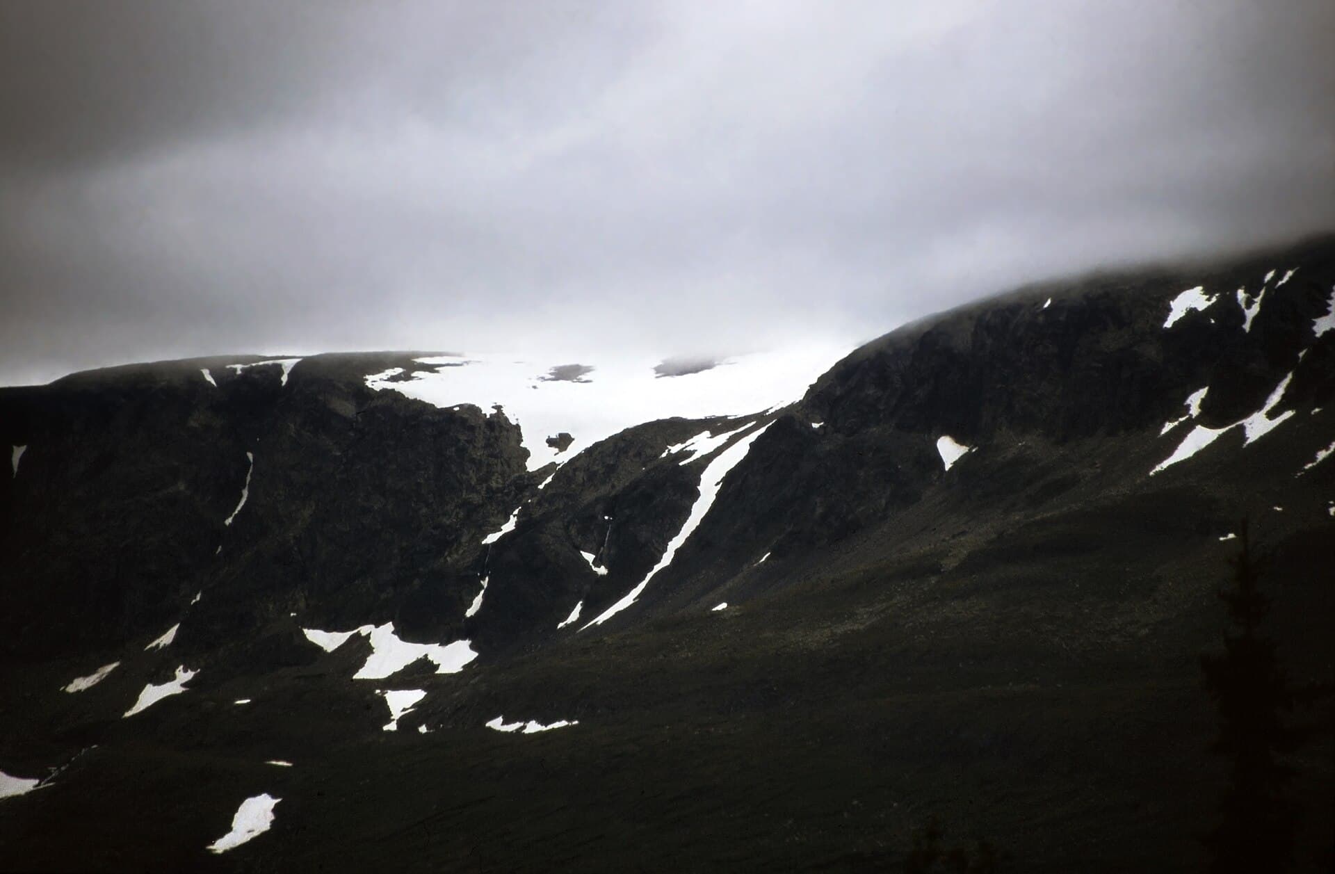 Hallingskarvet National Park, Hallingskarvet