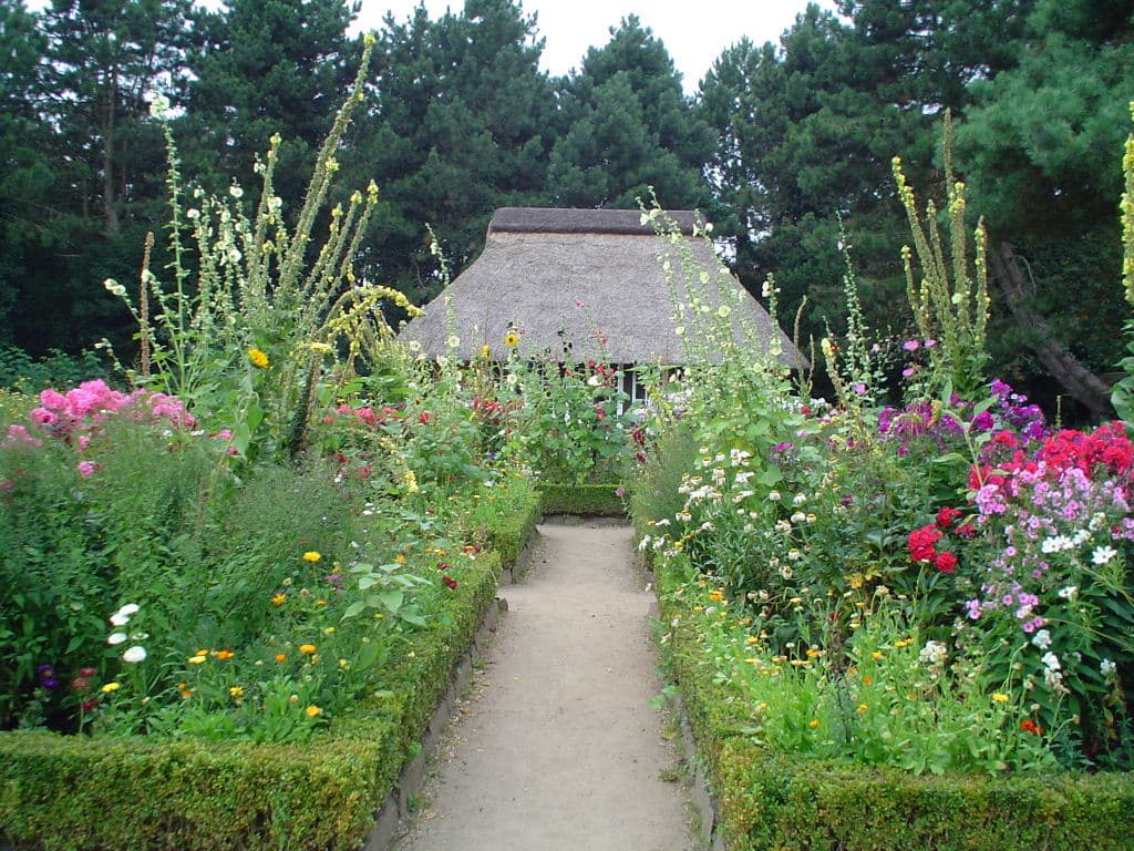 Loki Schmidt Botanical Garden, Hamburg