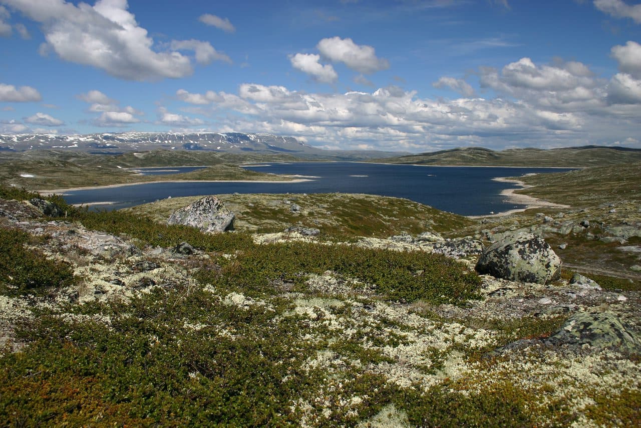 The Hardangervidda Plateau, Bergen