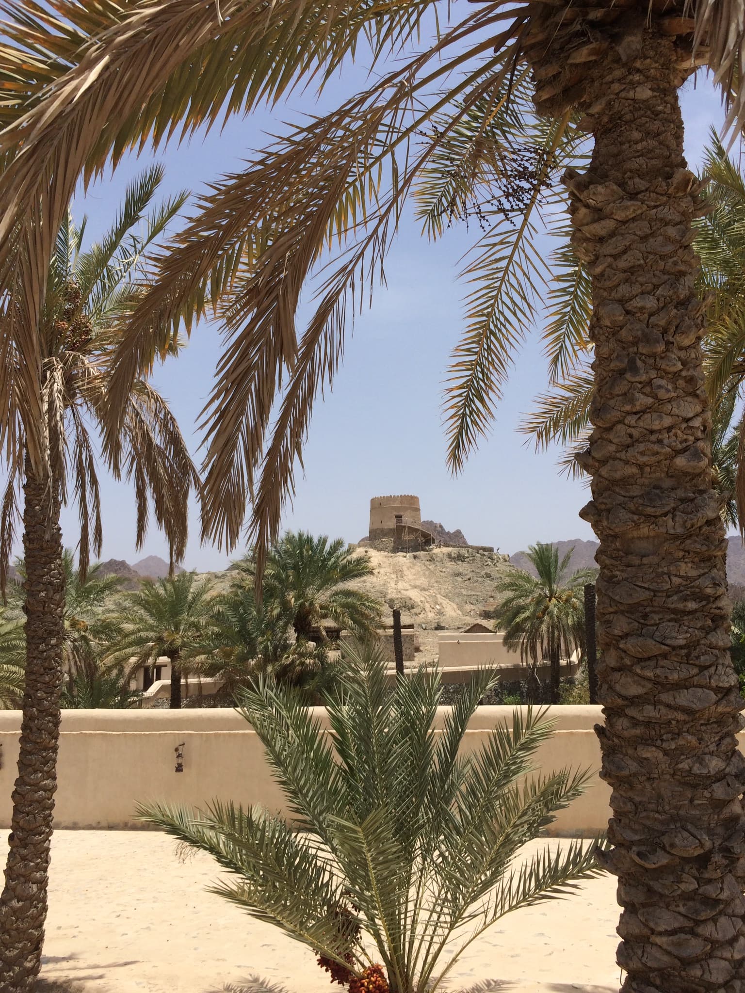 Hatta Heritage Village and Fort