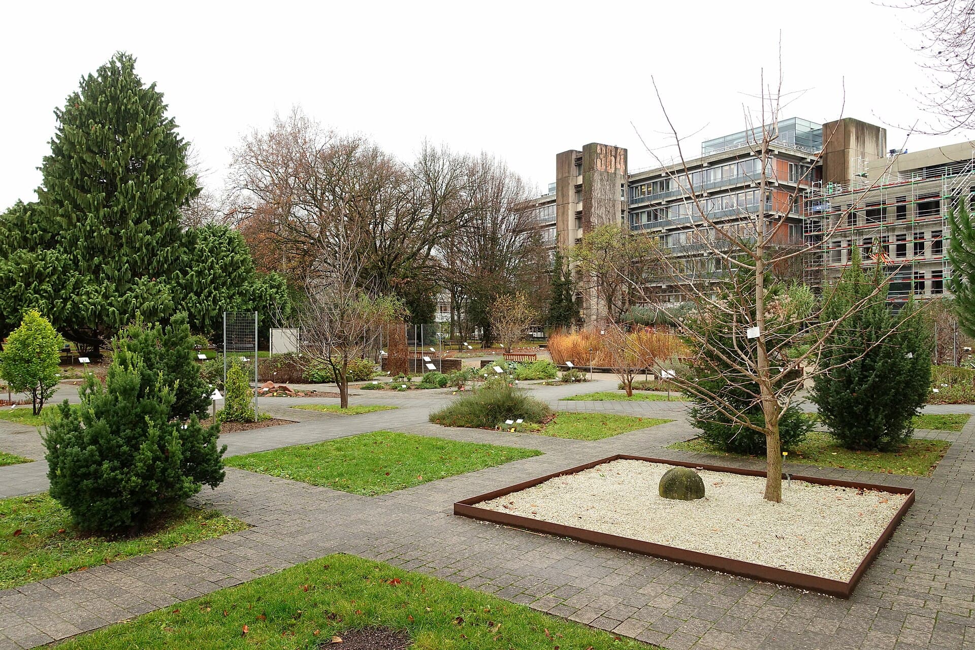Heidelberg Botanical Garden, Heidelberg