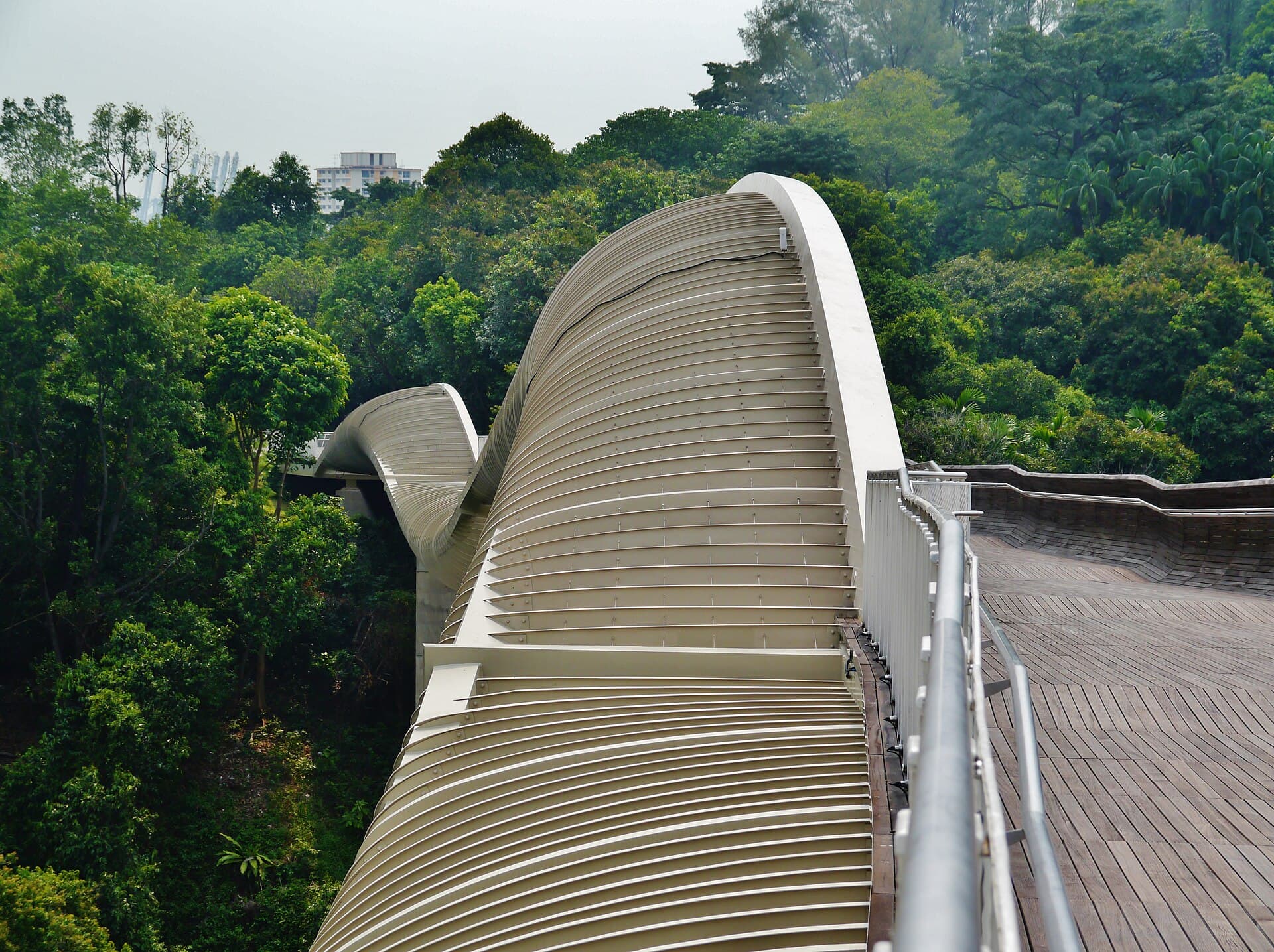 Henderson Waves and the Southern Ridges