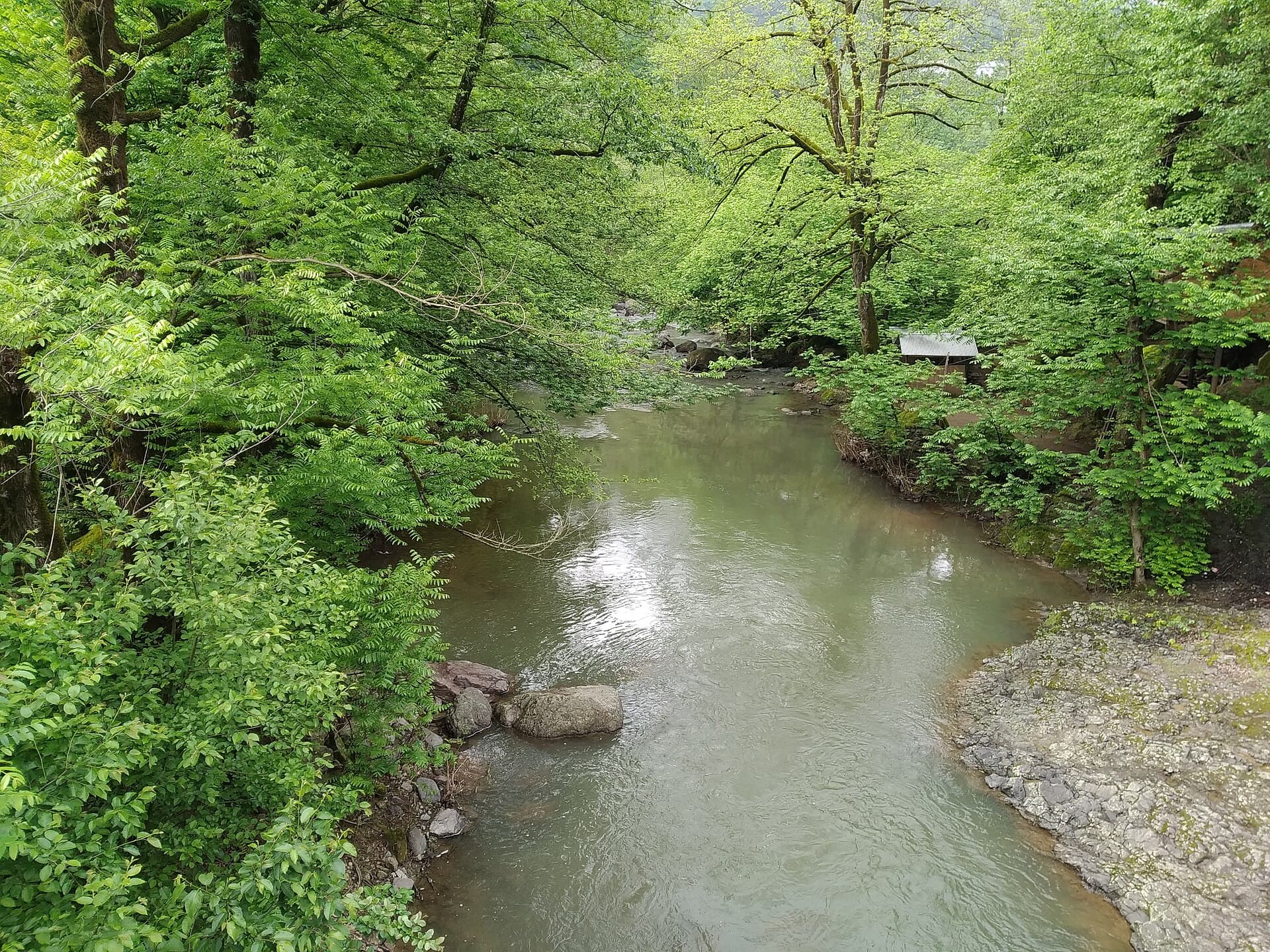 Hirkan National Park, Lankaran