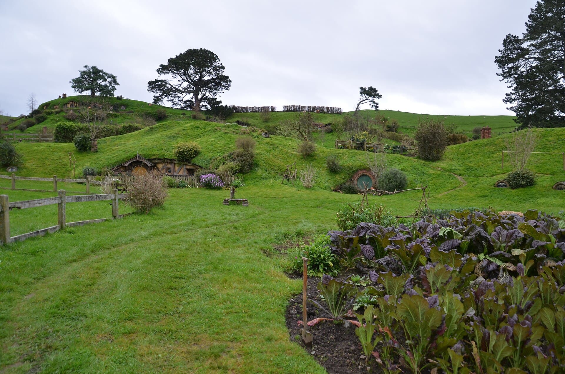 Hobbiton Movie Set