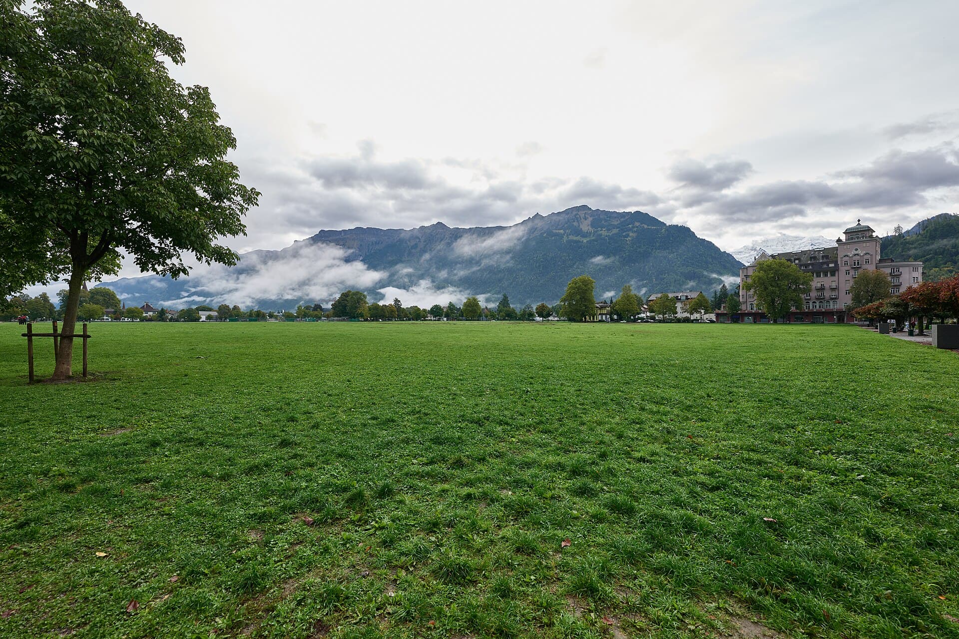 The Höhematte, Interlaken