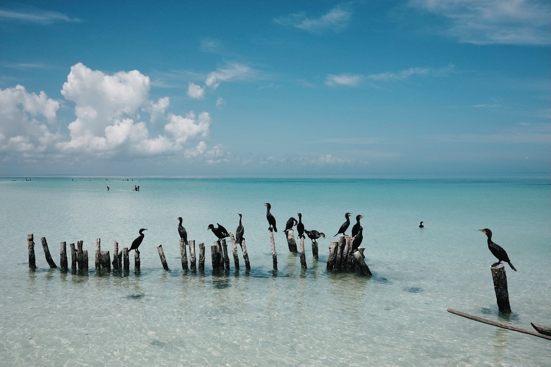 Holbox Island