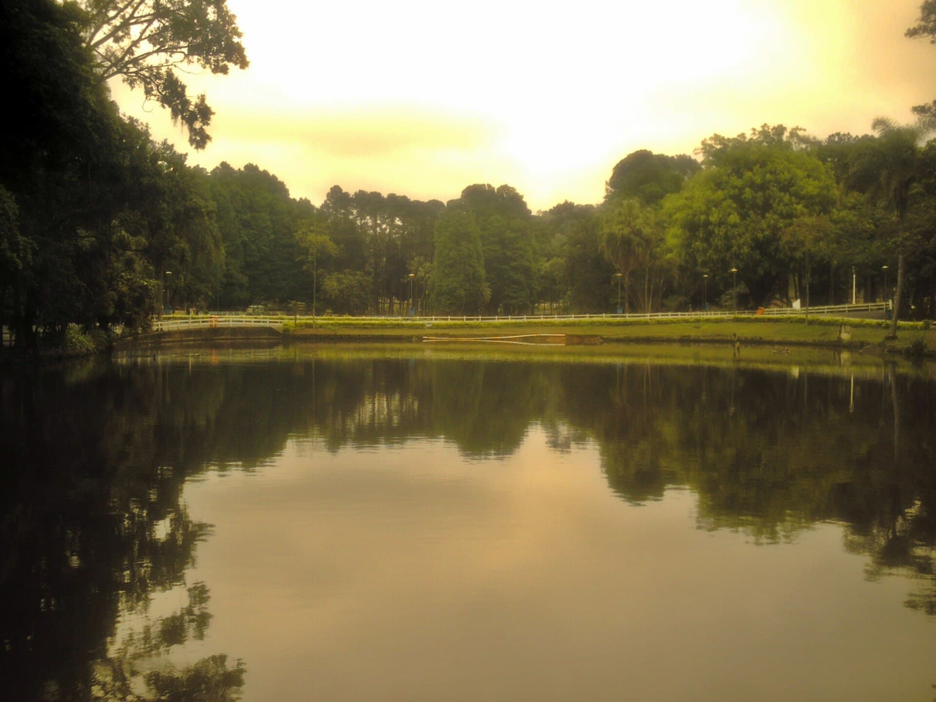 Horto Florestal (Albert Löfgren State Park), São Paulo