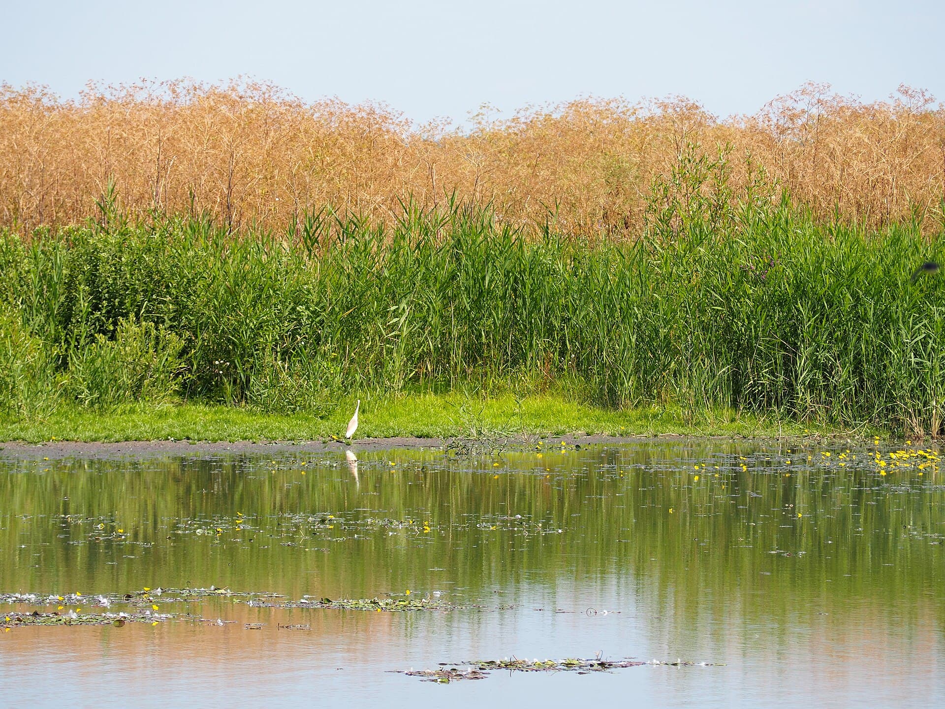 Hortobágy National Park, Hortobágy