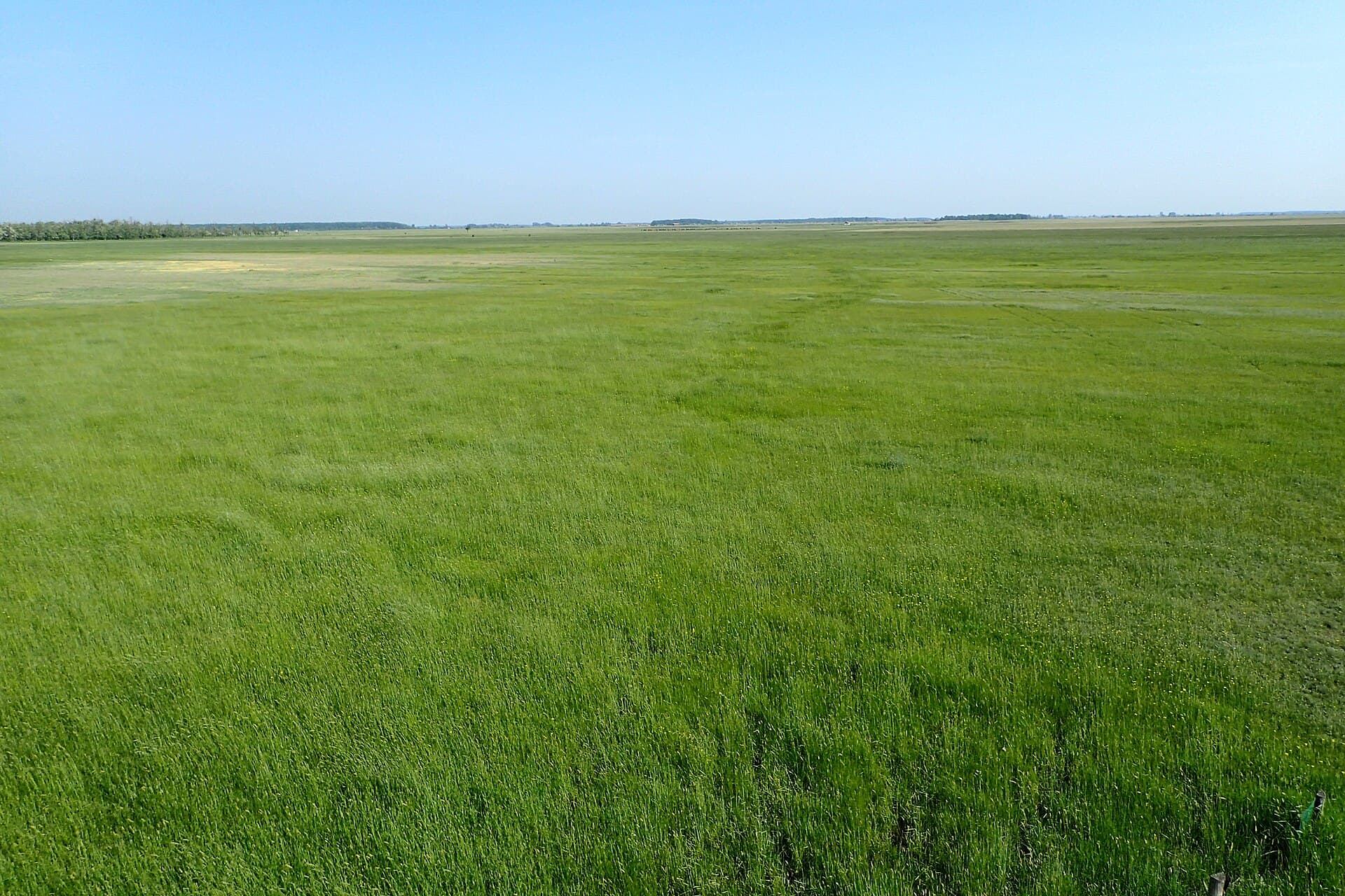 Hortobágy National Park, Hortobágy