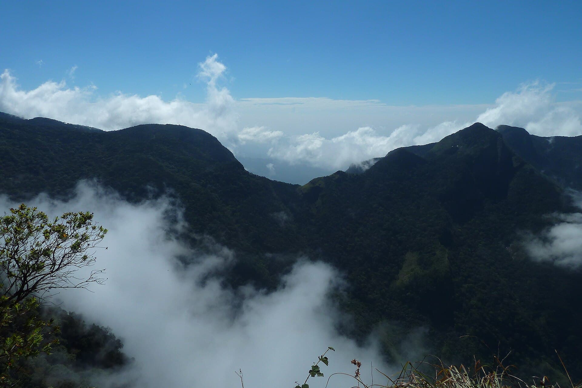 Horton Plains National Park